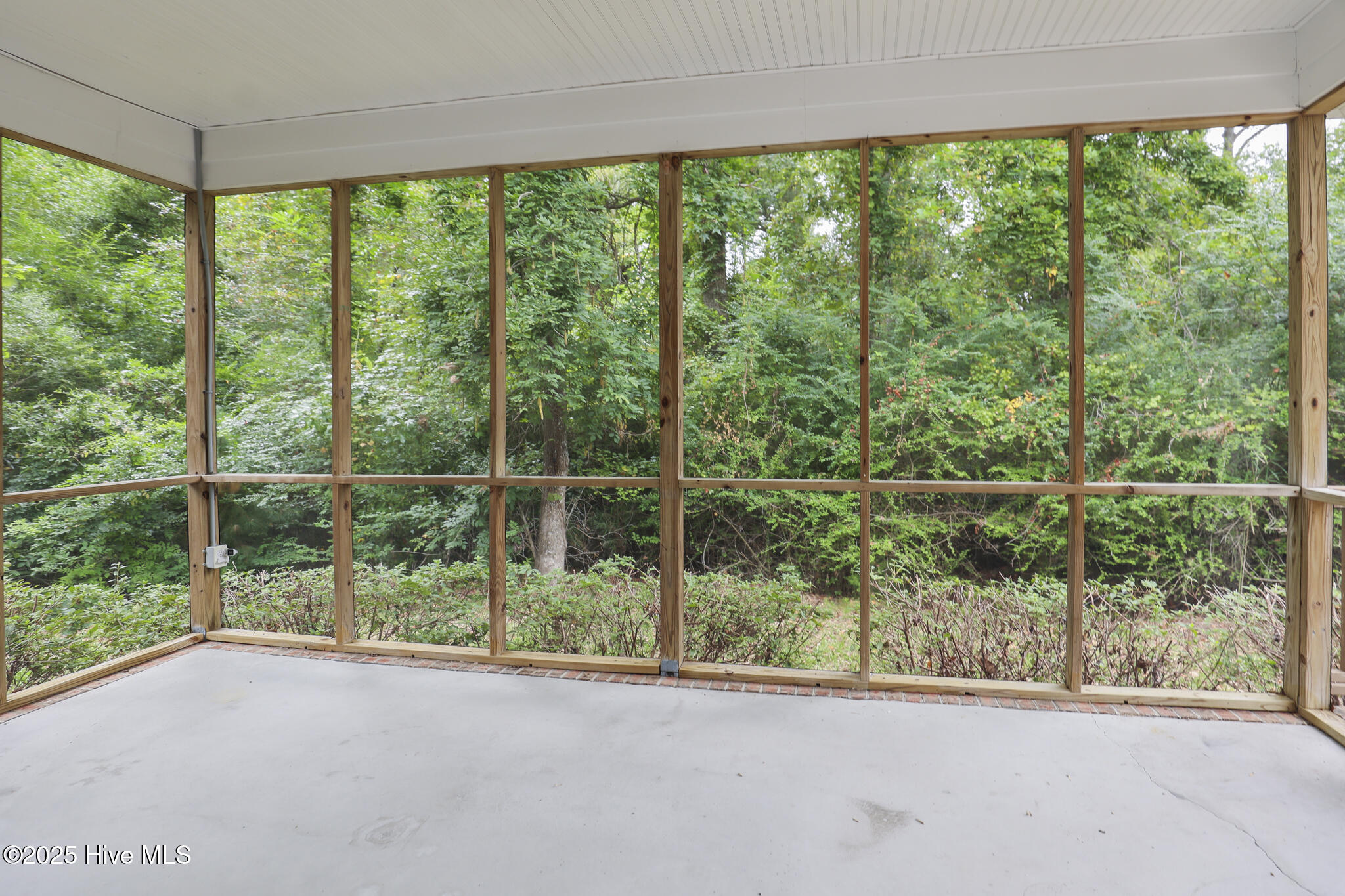 100530782 | Photo 49