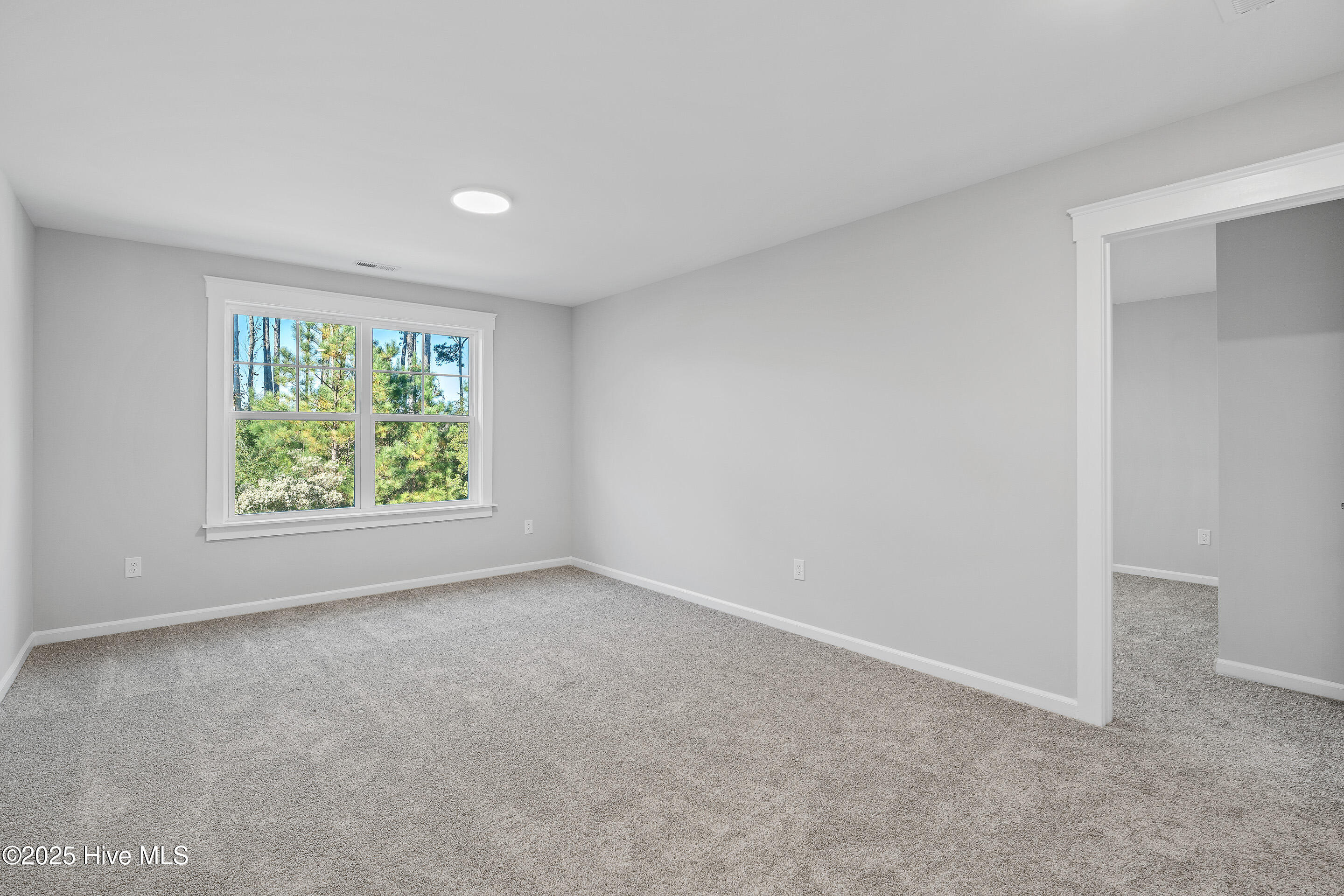 100501651 | Photo 20