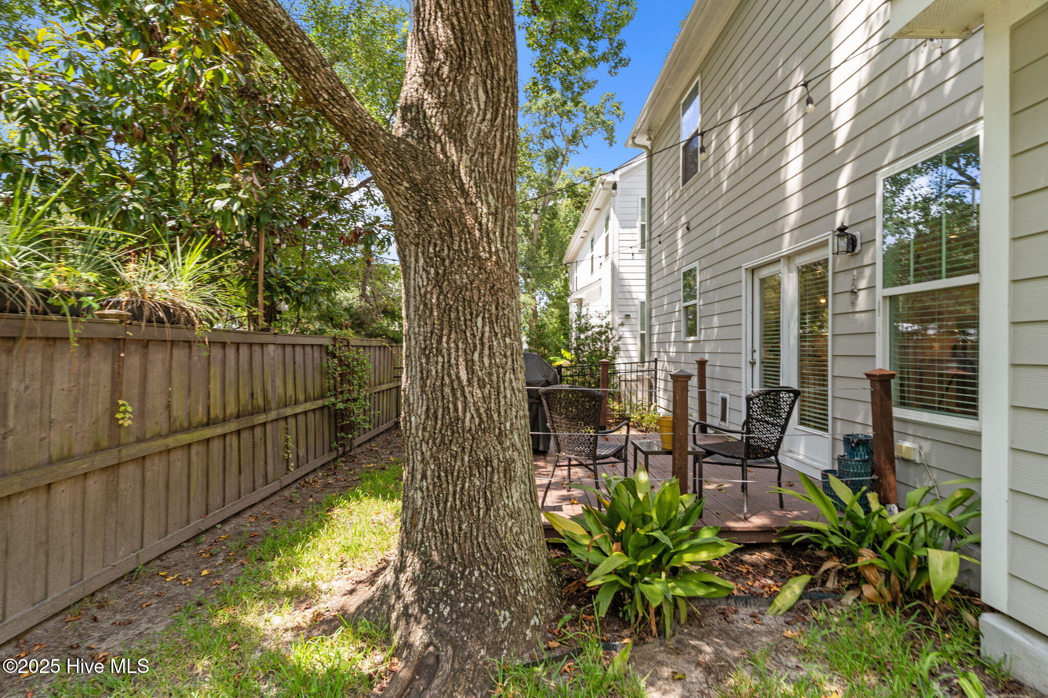 100526886 | Photo 40