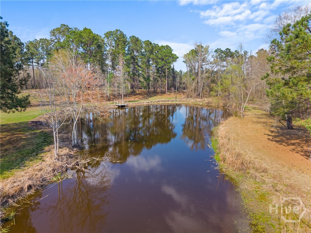 3127 Buttermilk, Sylvania, GA, 30467