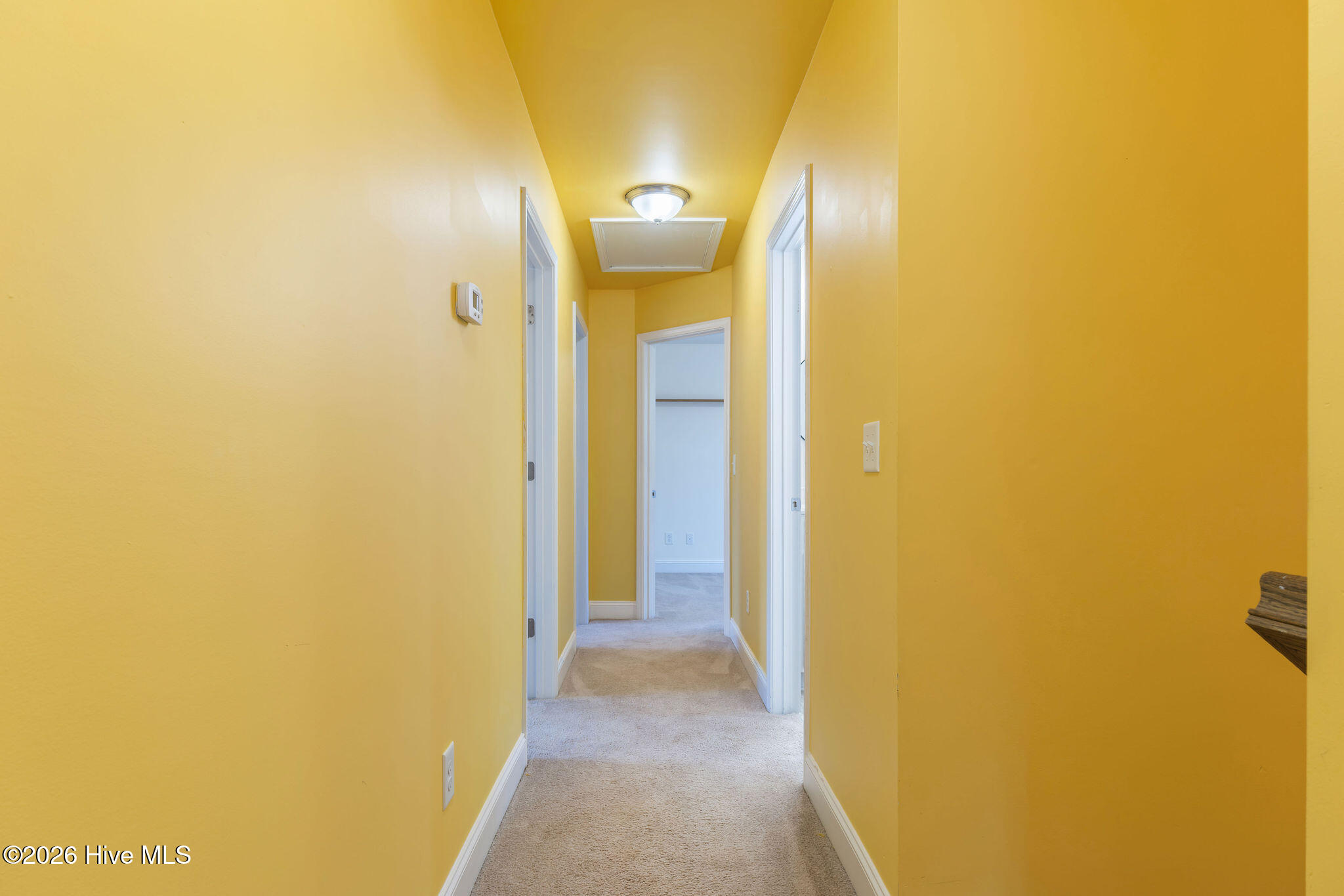 100548283 | Photo 21