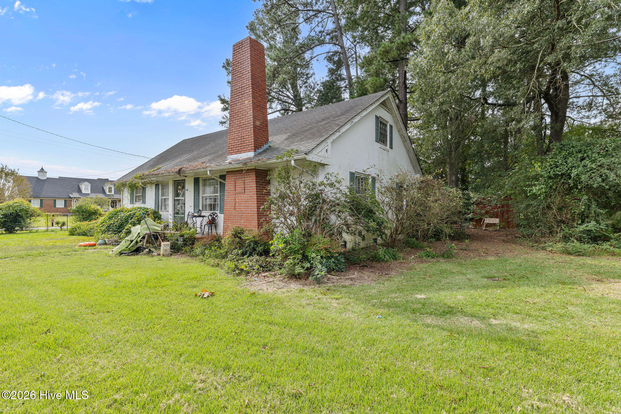 100611667 | Photo 3