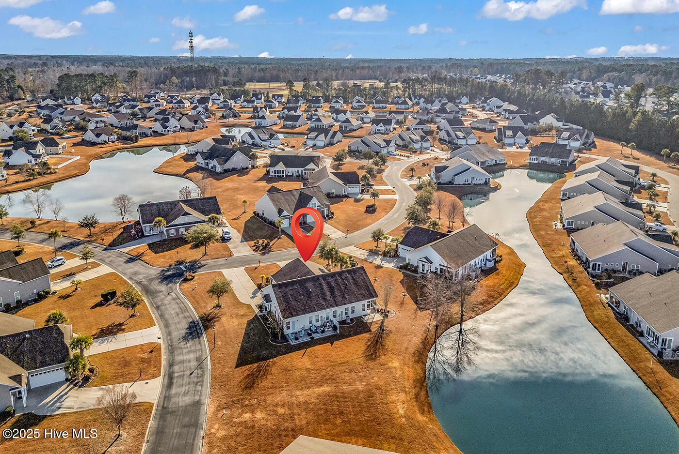 100545538 | Photo 43