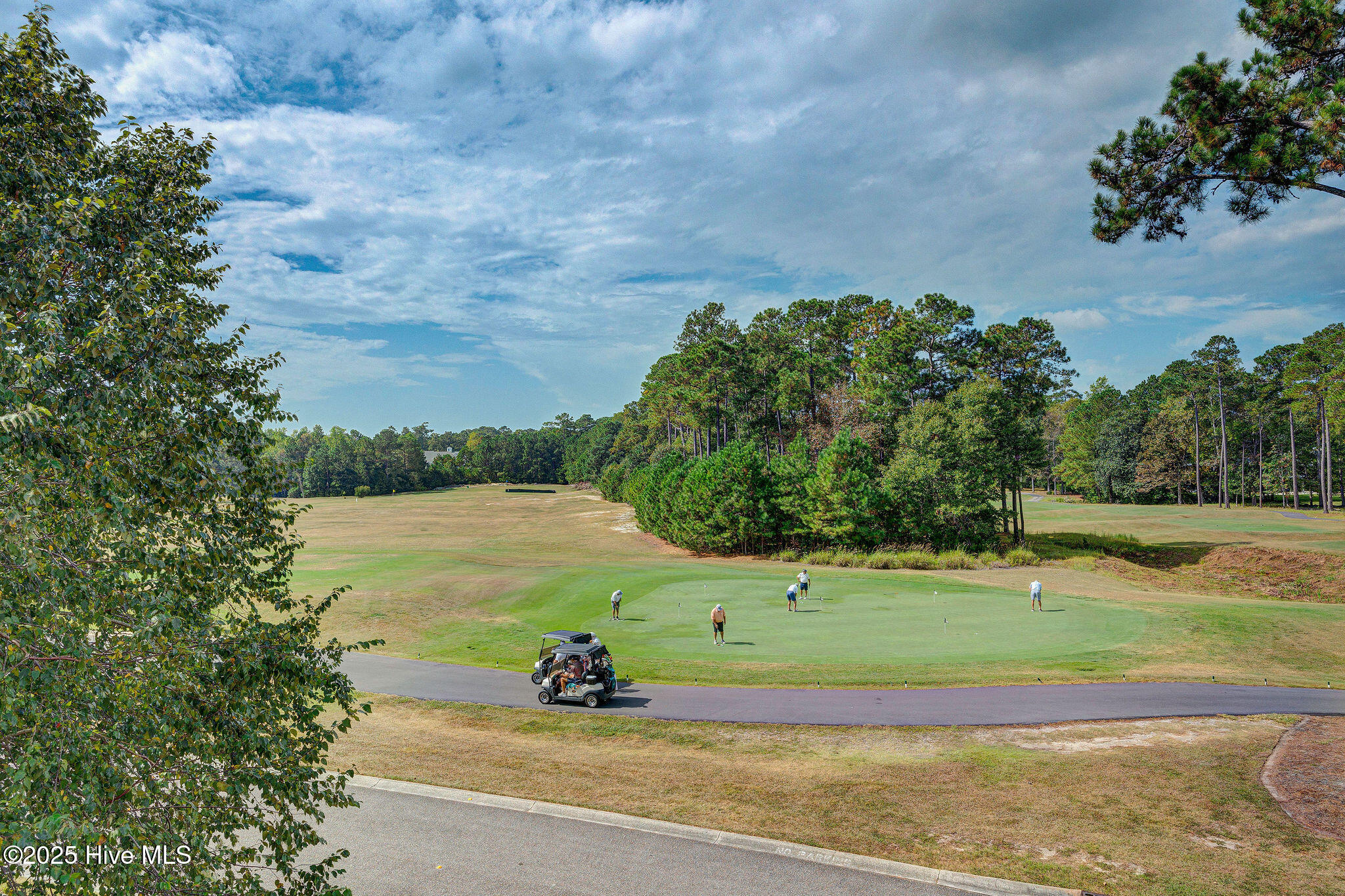 100533949 | Photo 46