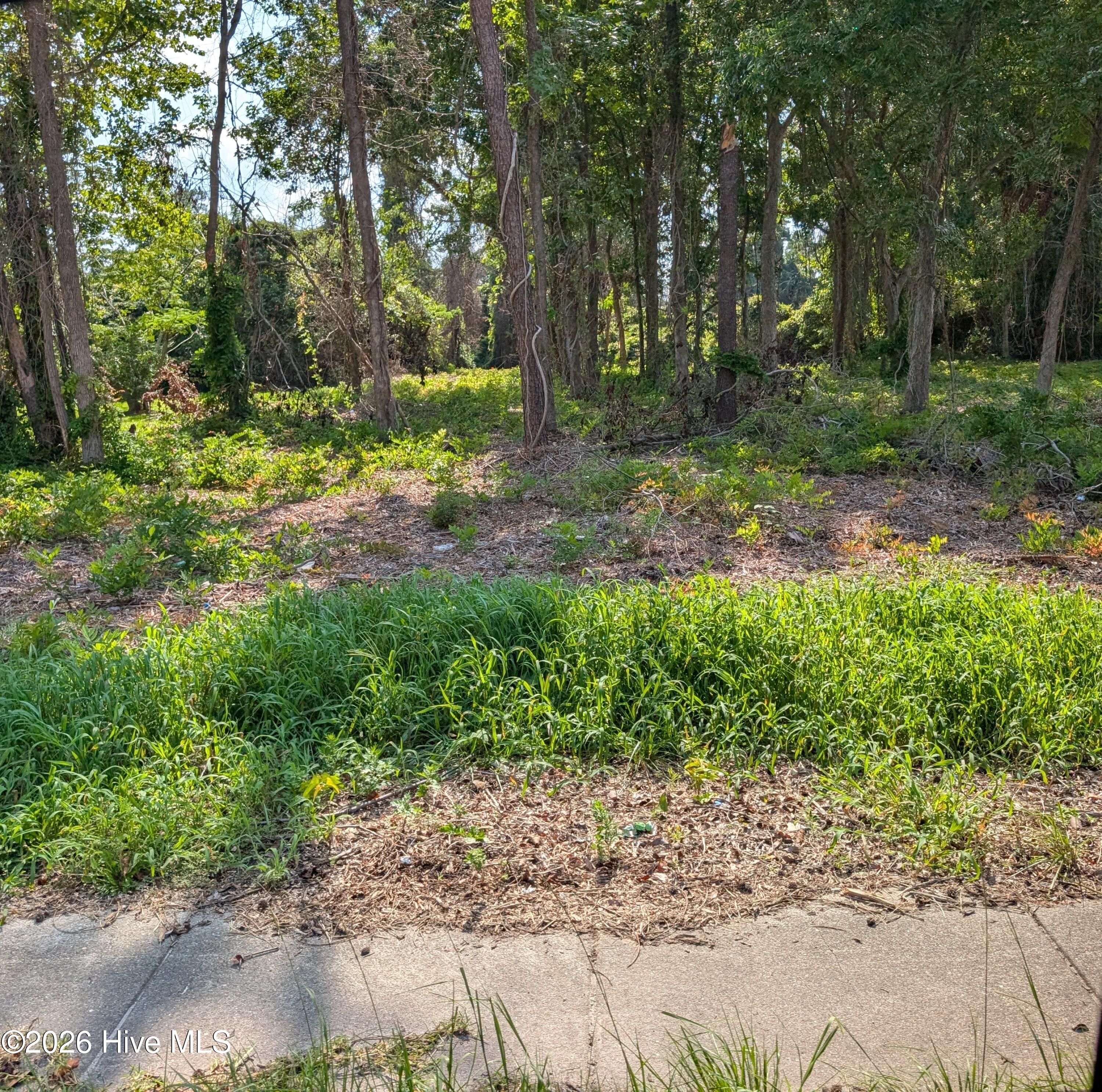 852 Bell Fork Road,Jacksonville