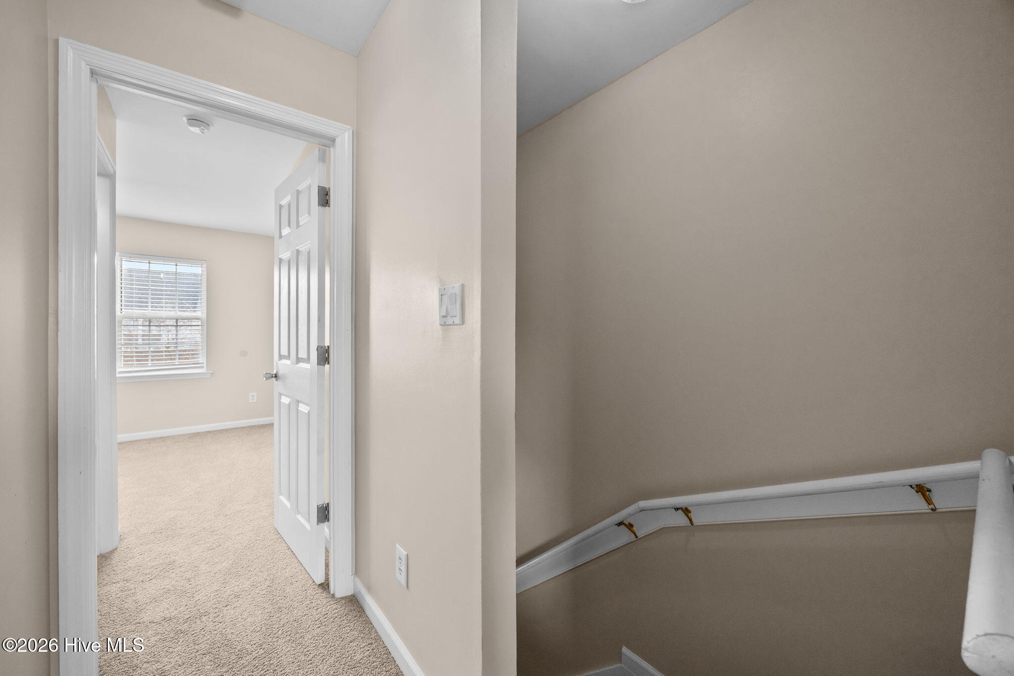 100553765 | Photo 25