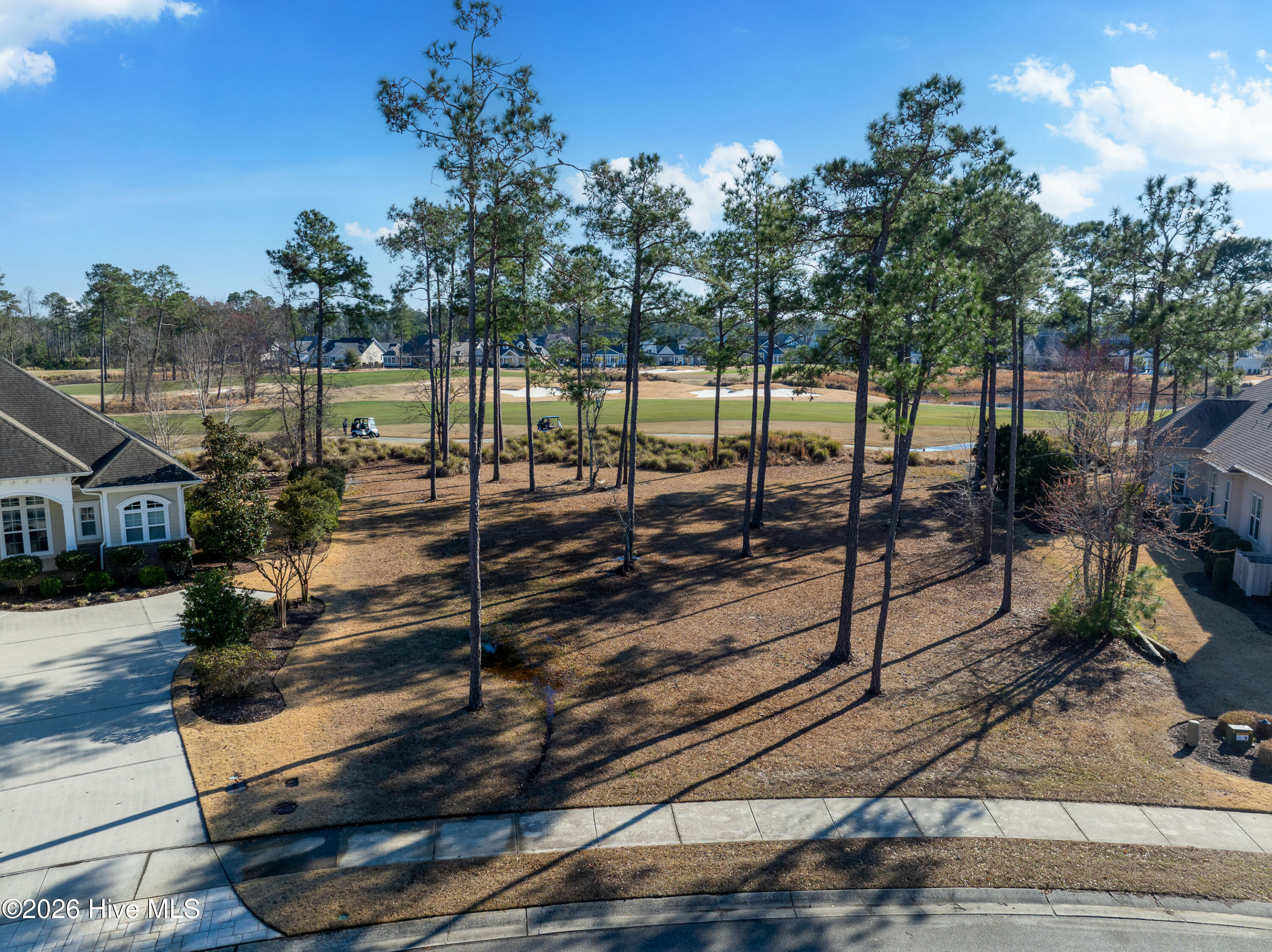 100557146 | Photo 25