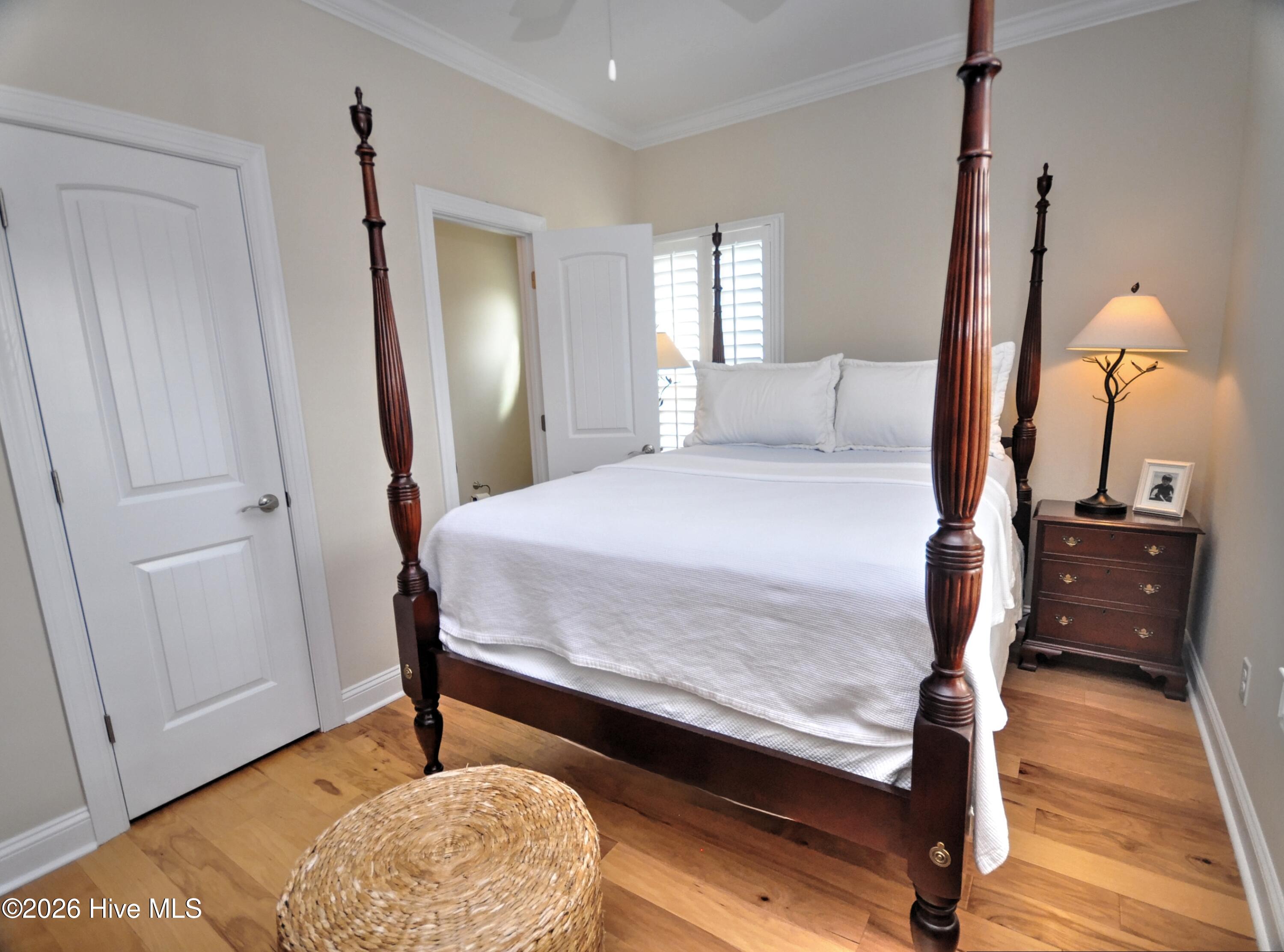 100558783 | Photo 35