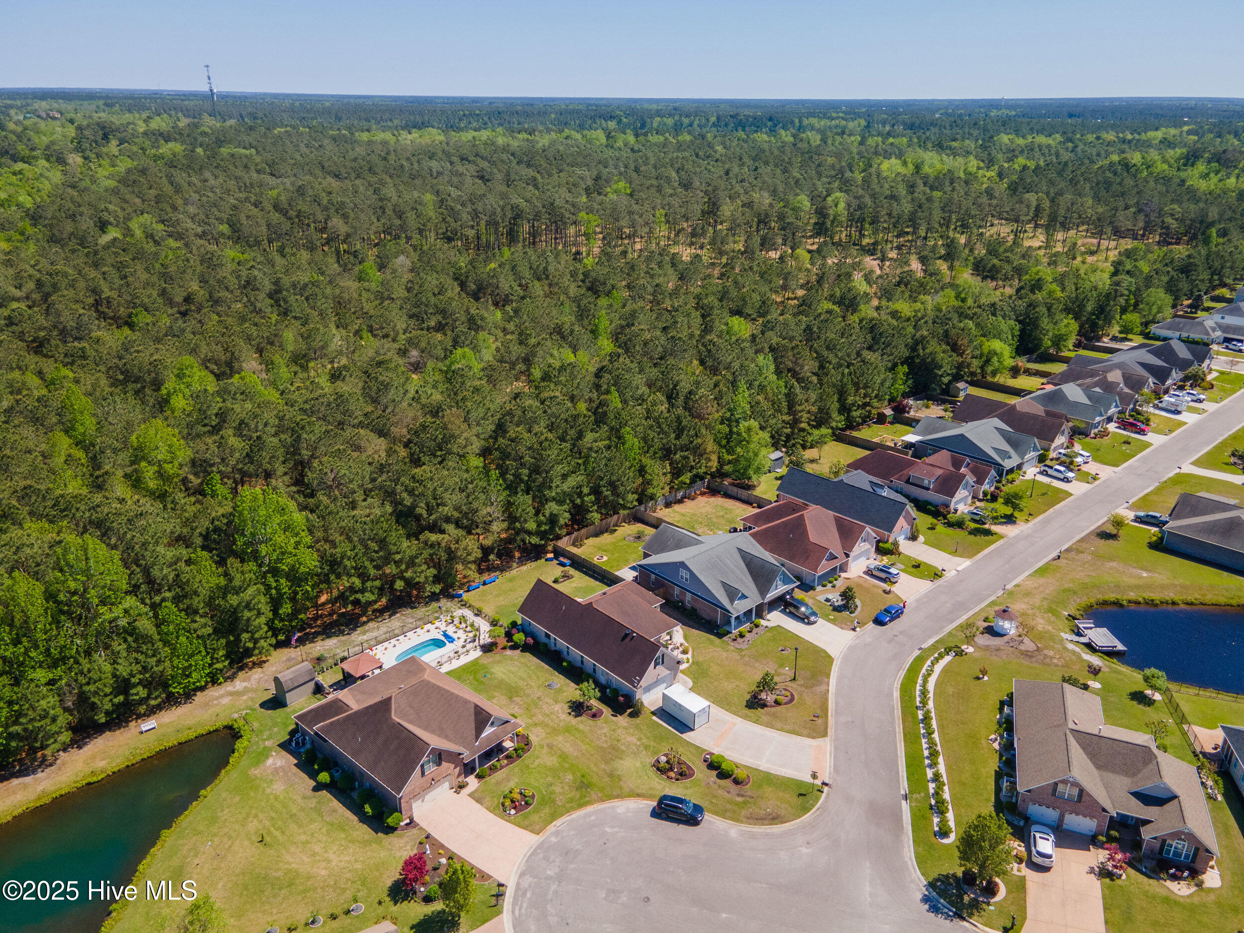 100506043 | Photo 49