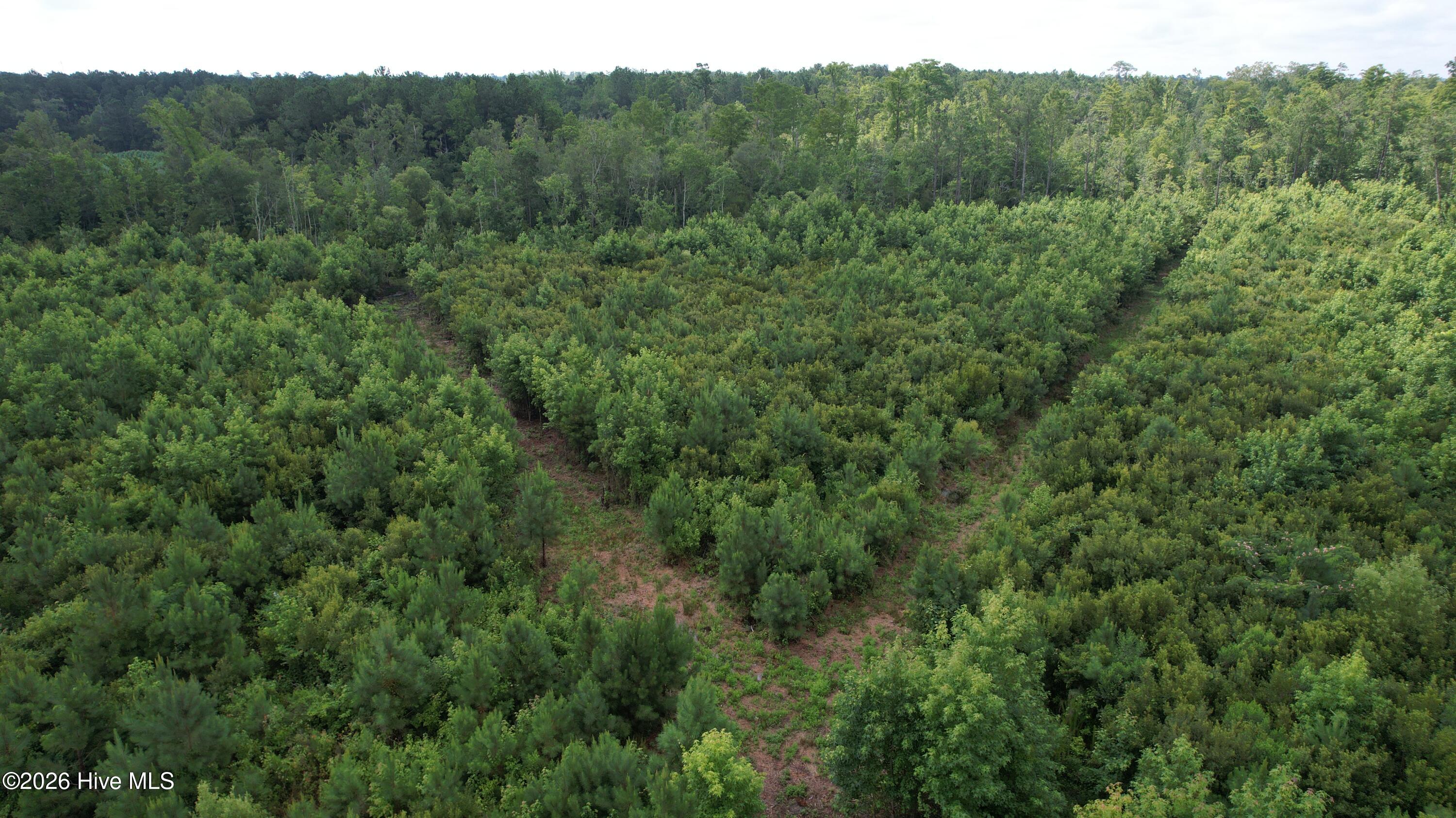 421 Riverneck Road, Columbia, NC, 27925