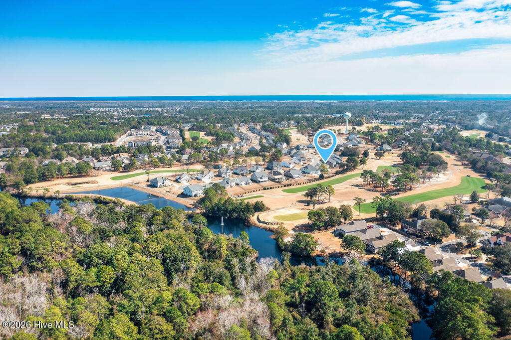 100553163 | Photo 54