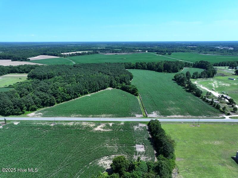 Homes for sale in Red Springs, NC | Tbd Hwy 71, Red Springs, NC 28377 | MLS# 100512614