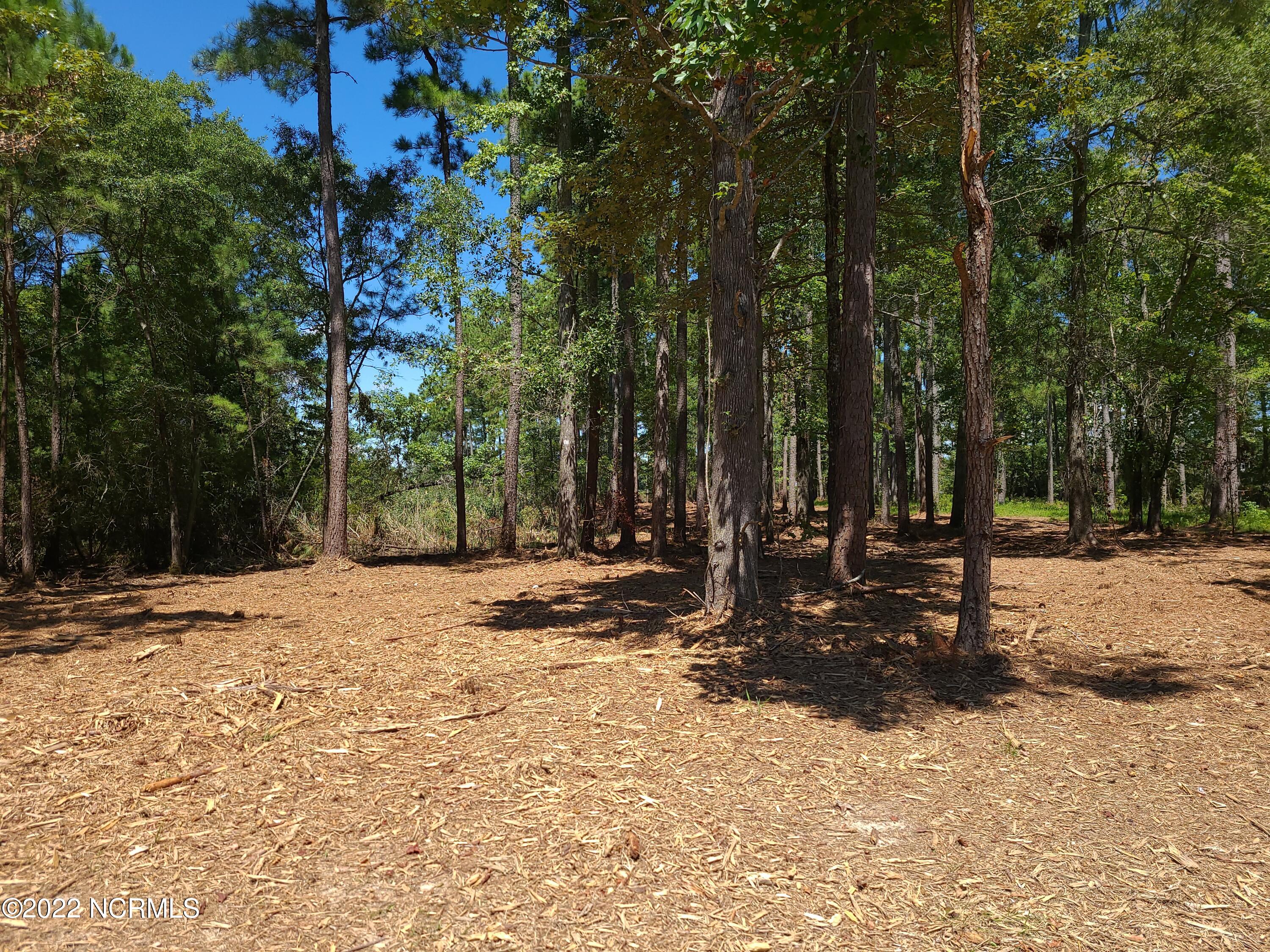 6 Ashton Drive, Bath, NC, 27808