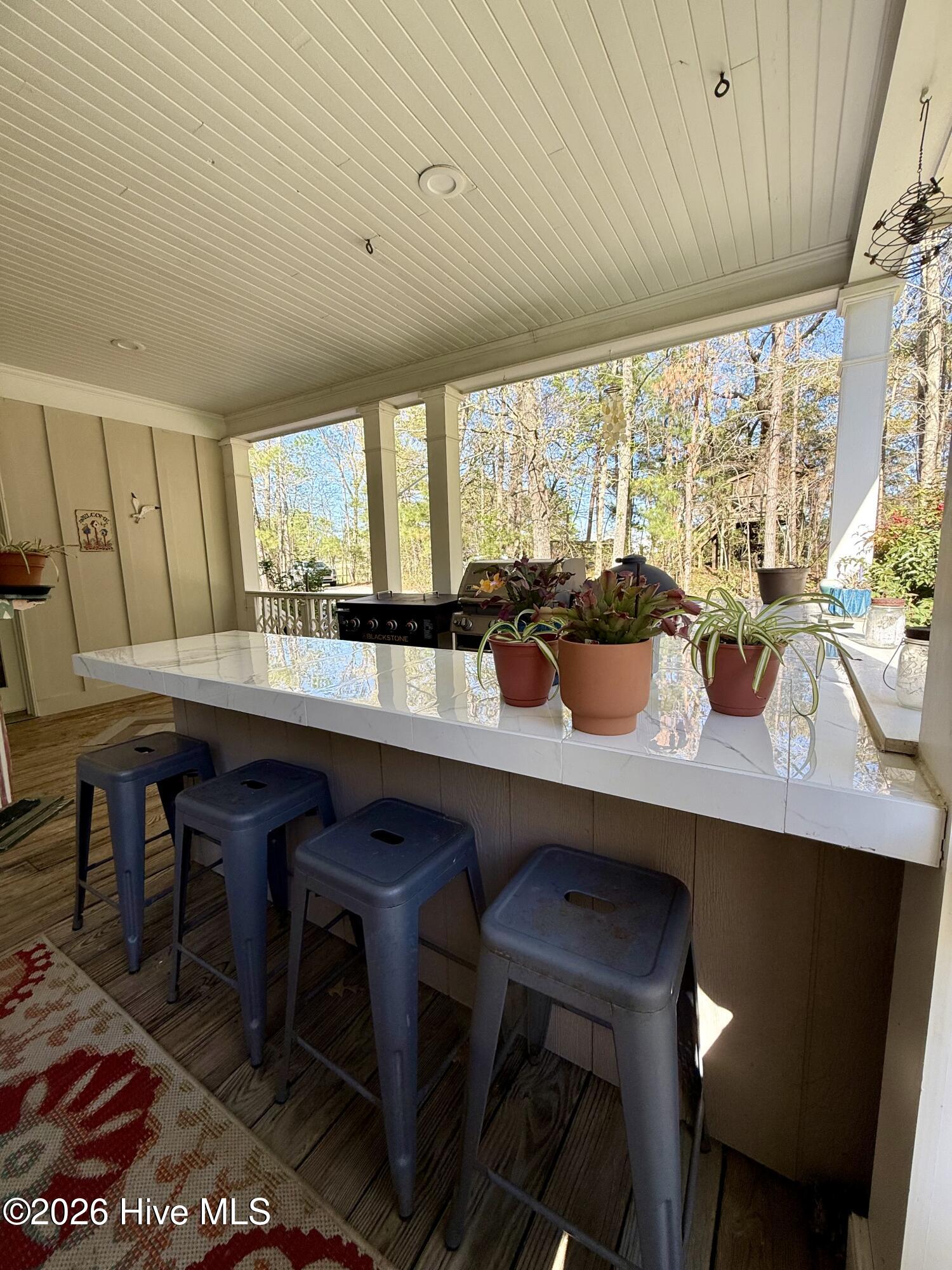 Outdoor Kitchen Area