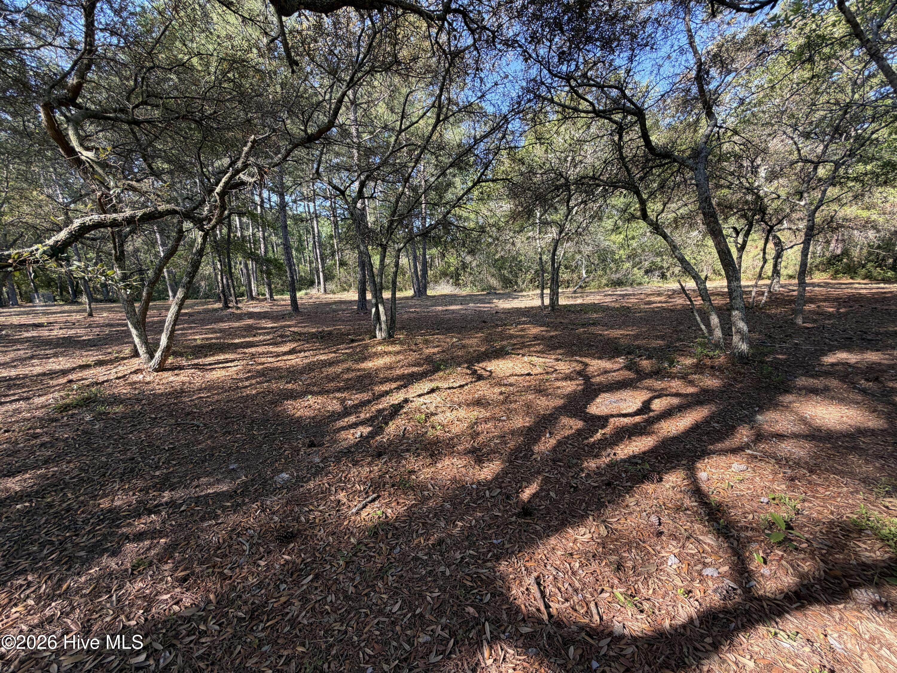 100569974 | Photo 13