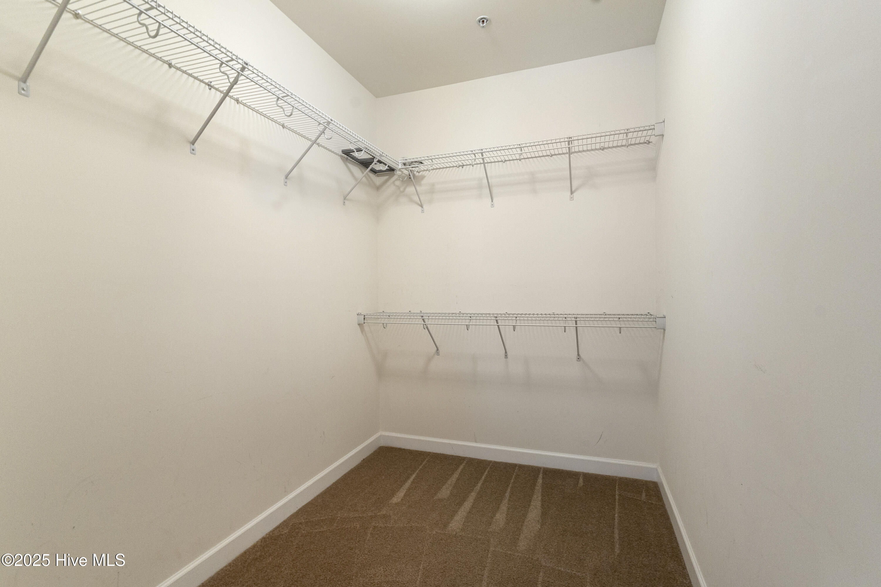 100529994 | Photo 25