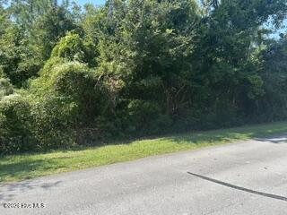 100603575 | Photo 3