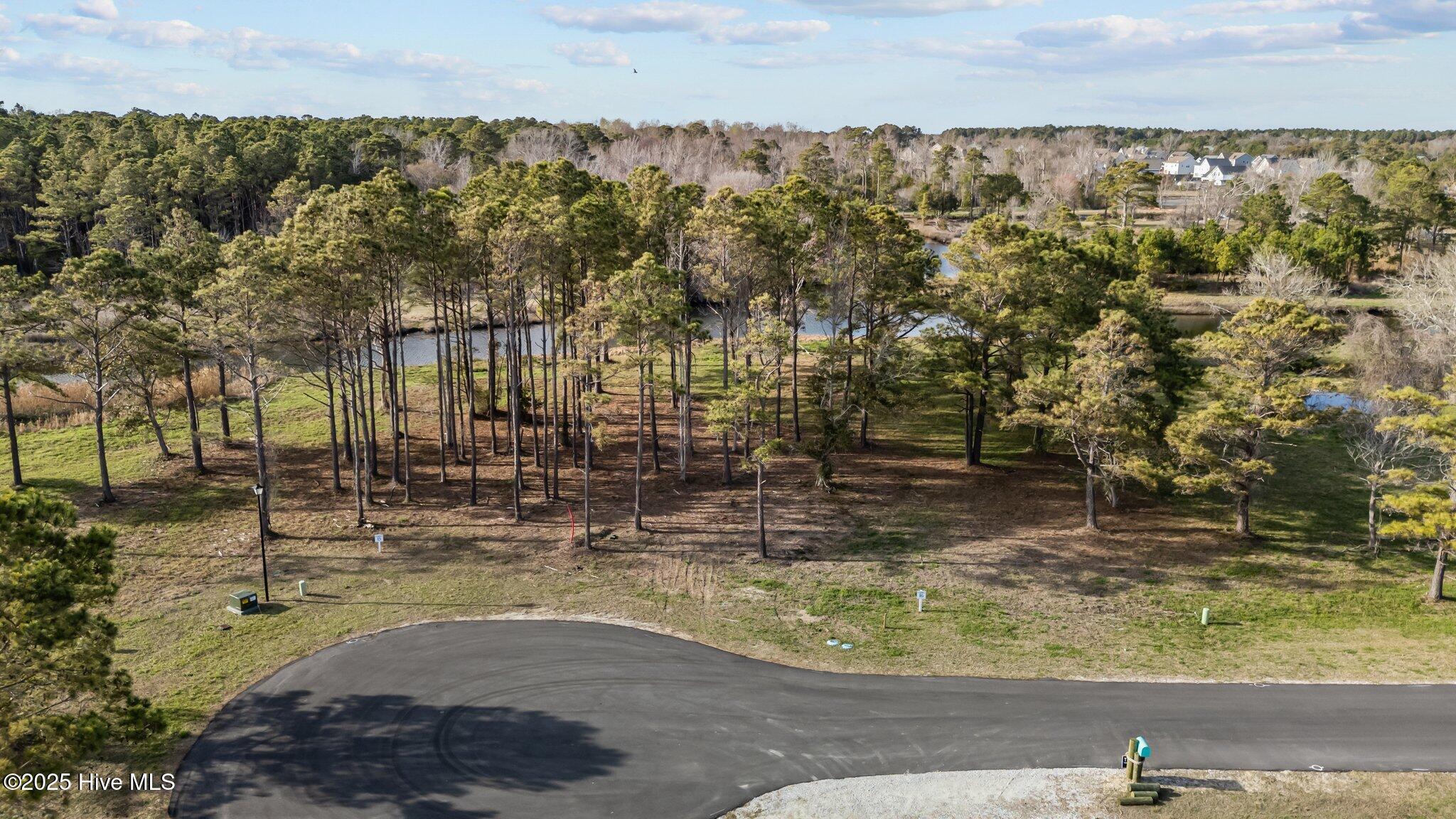 100560021 | Photo 11