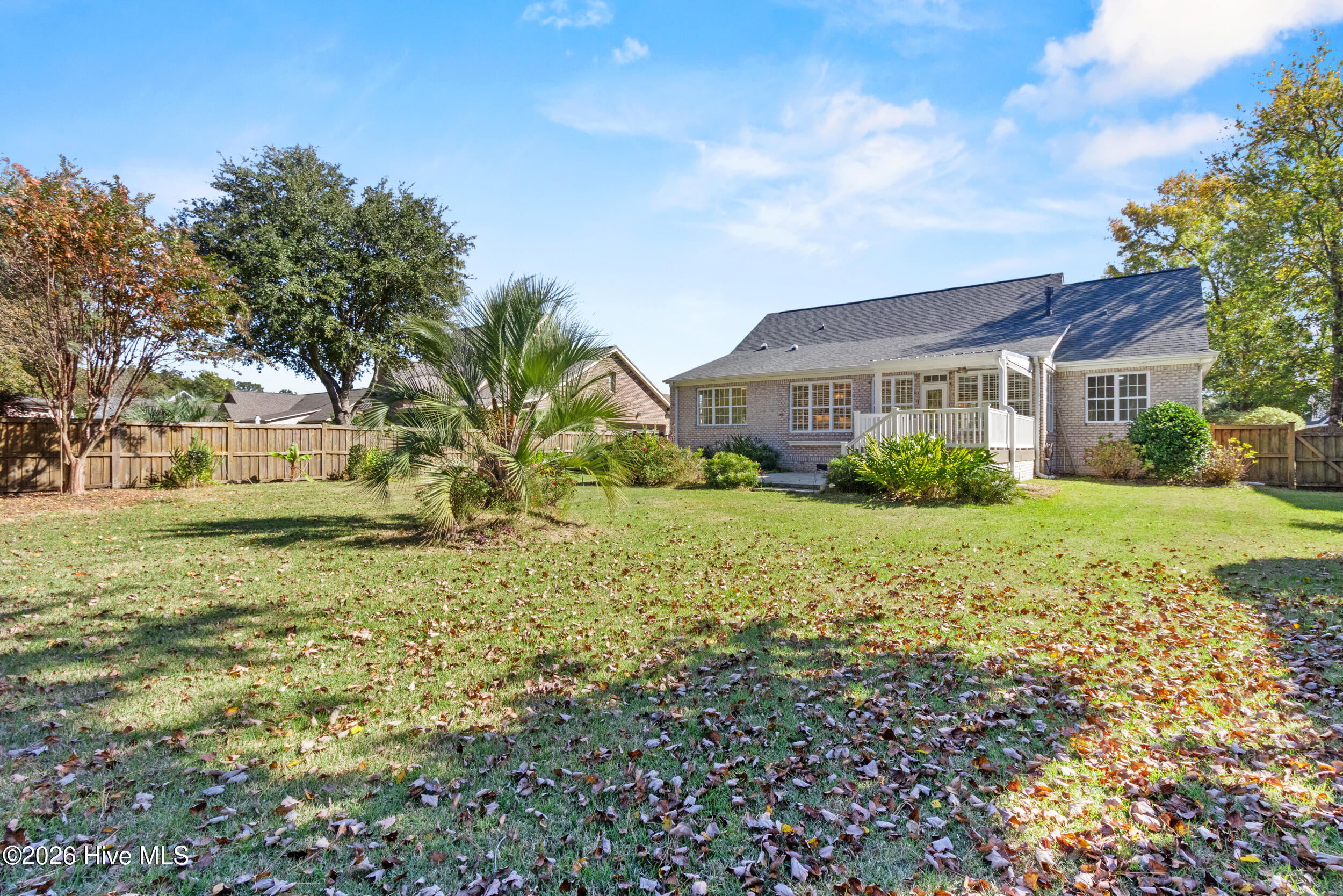 100541482 | Photo 47