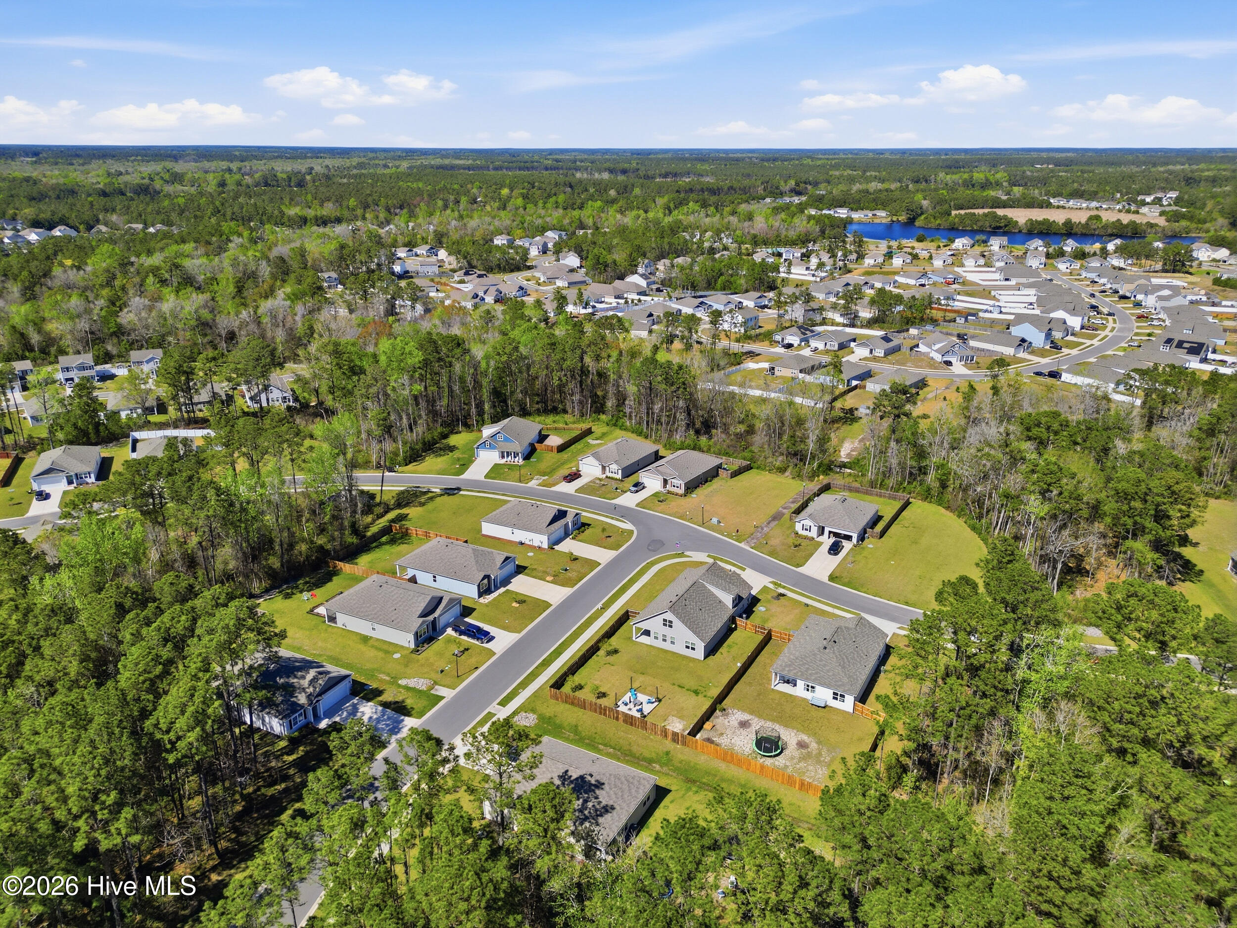 100565594 | Photo 56