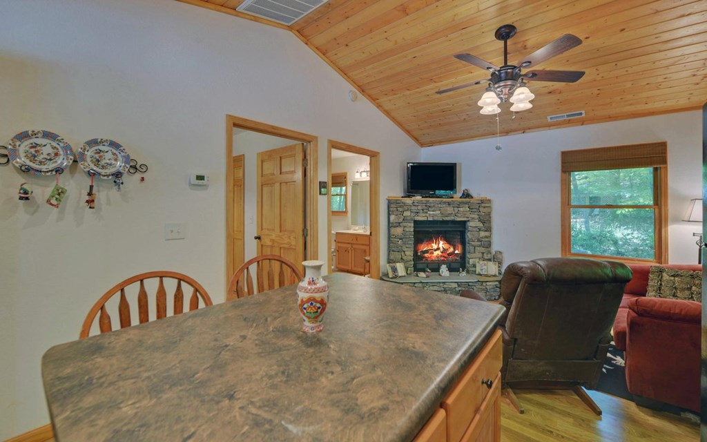 164 Dew Drop Lane, Murphy, NC 28906 Listing Photo  42