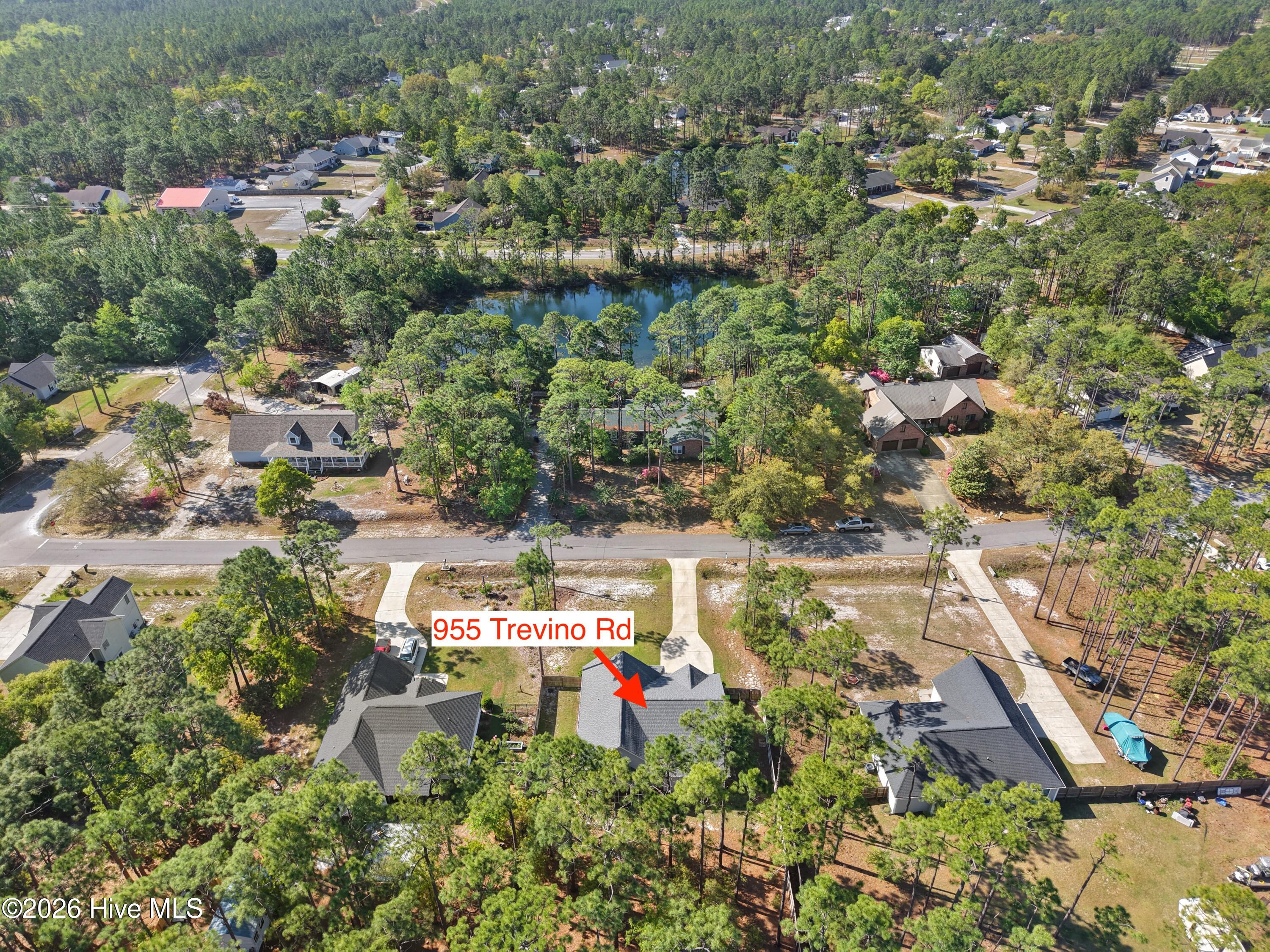 100568051 | Photo 51