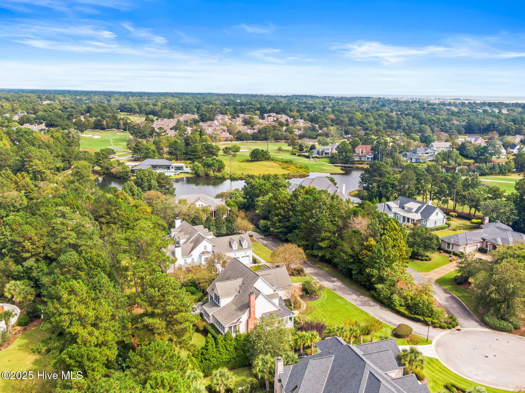 100535740 | Photo 50