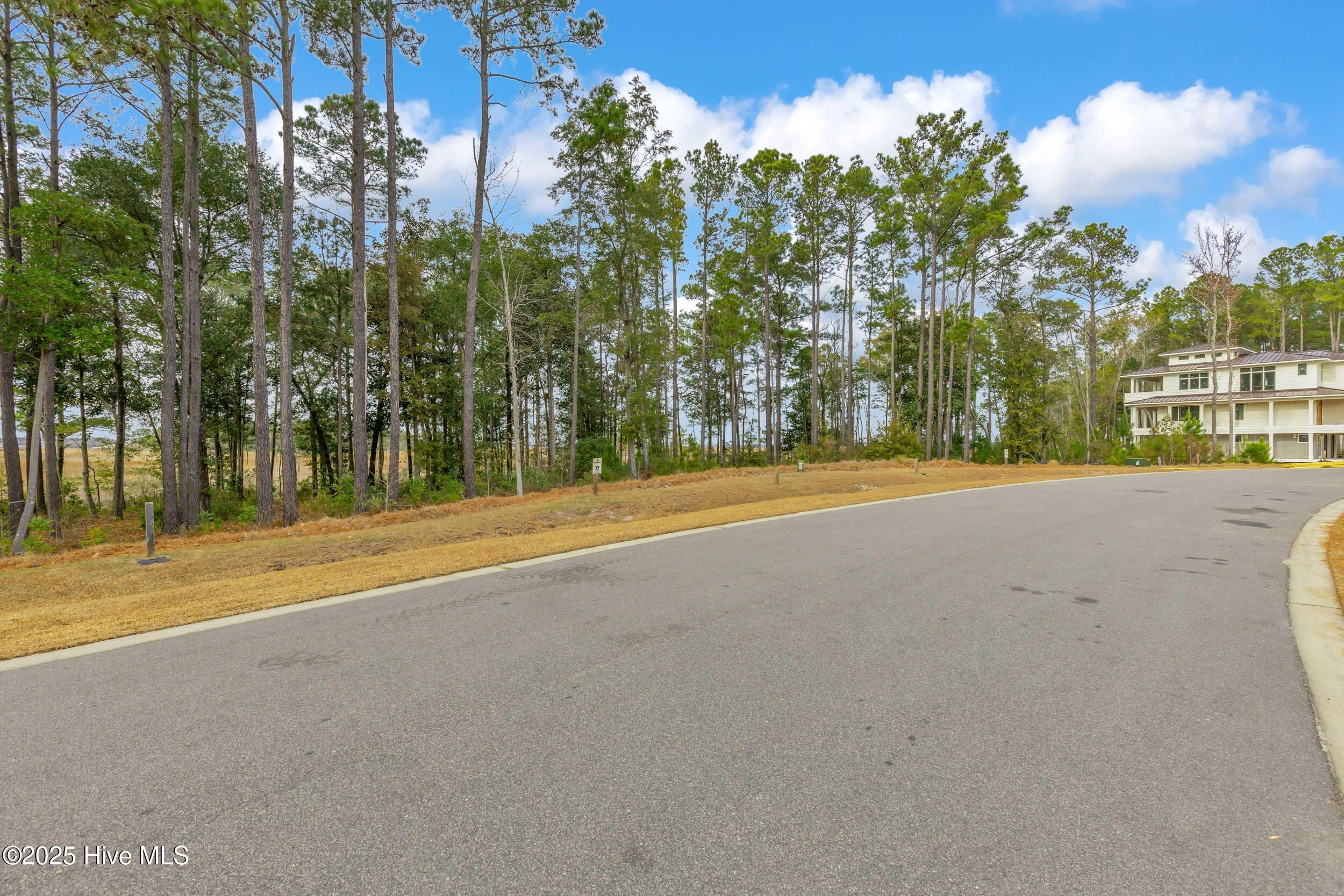 100564595 | Photo 21