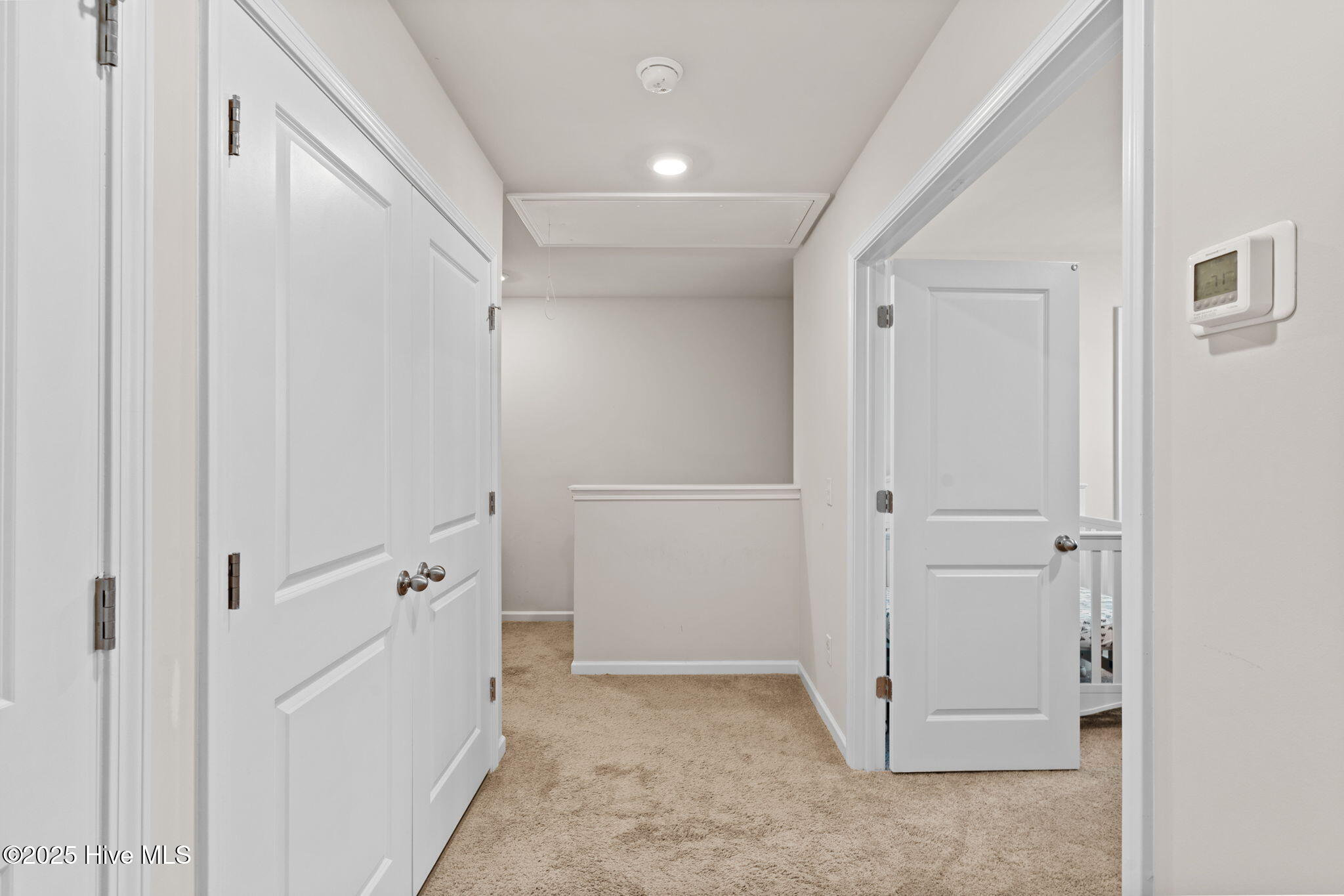 100515817 | Photo 22