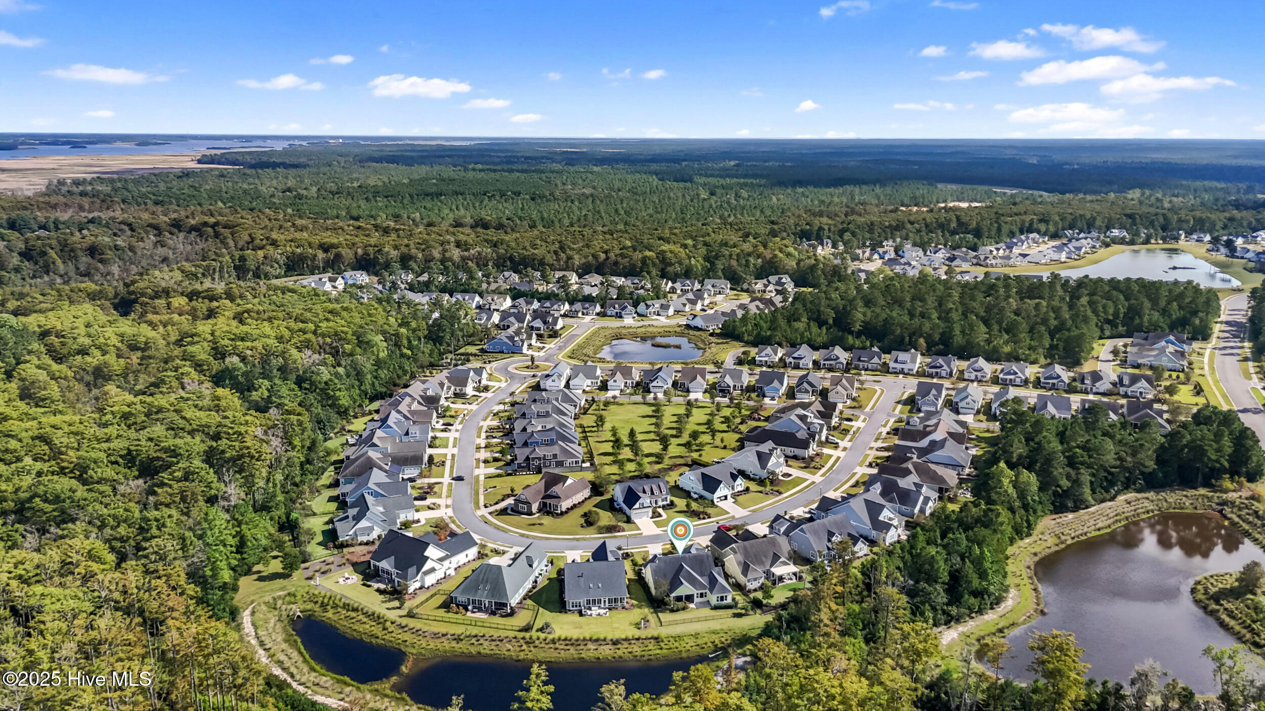 100534390 | Photo 59