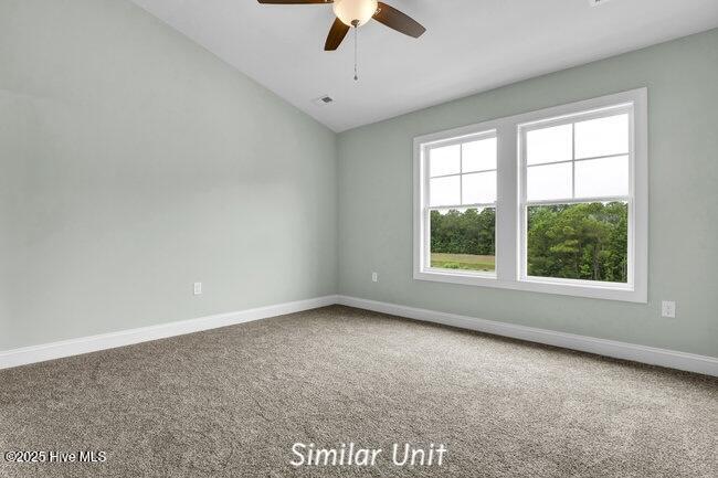 100542683 | Photo 26