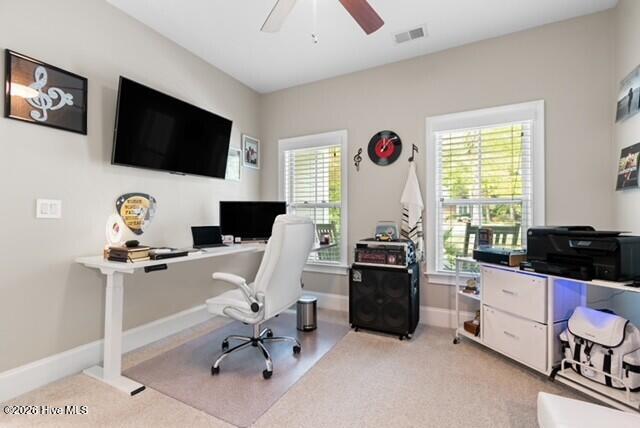 100565384 | Photo 21