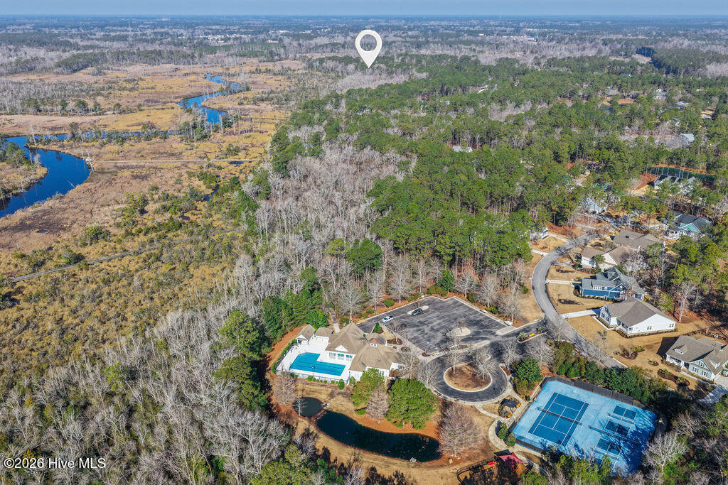 100558623 | Photo 10