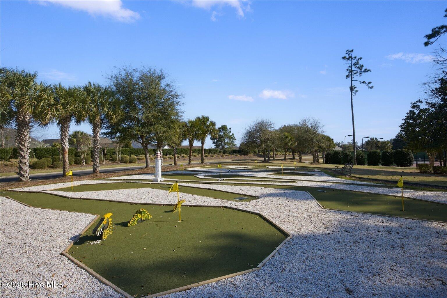 100560337 | Photo 44