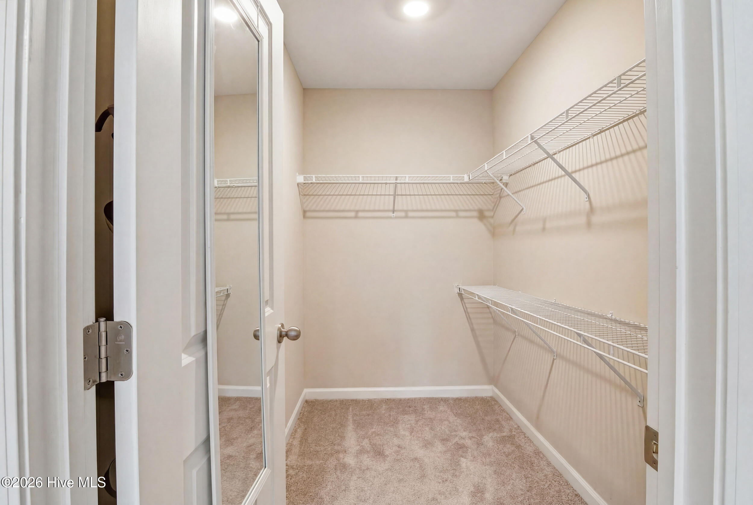 100555979 | Photo 37