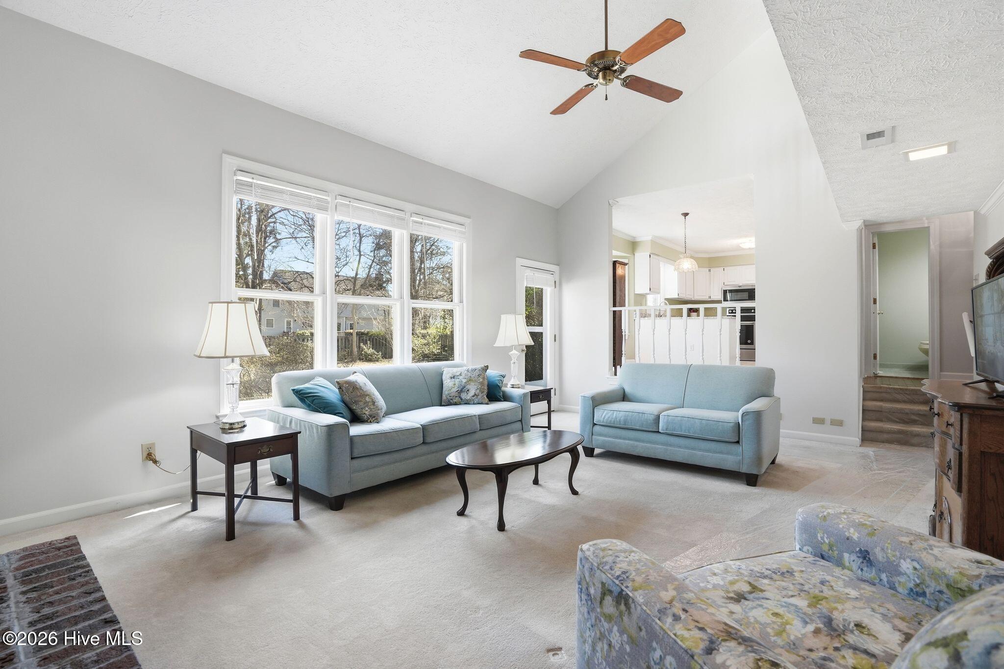 100556511 | Photo 24