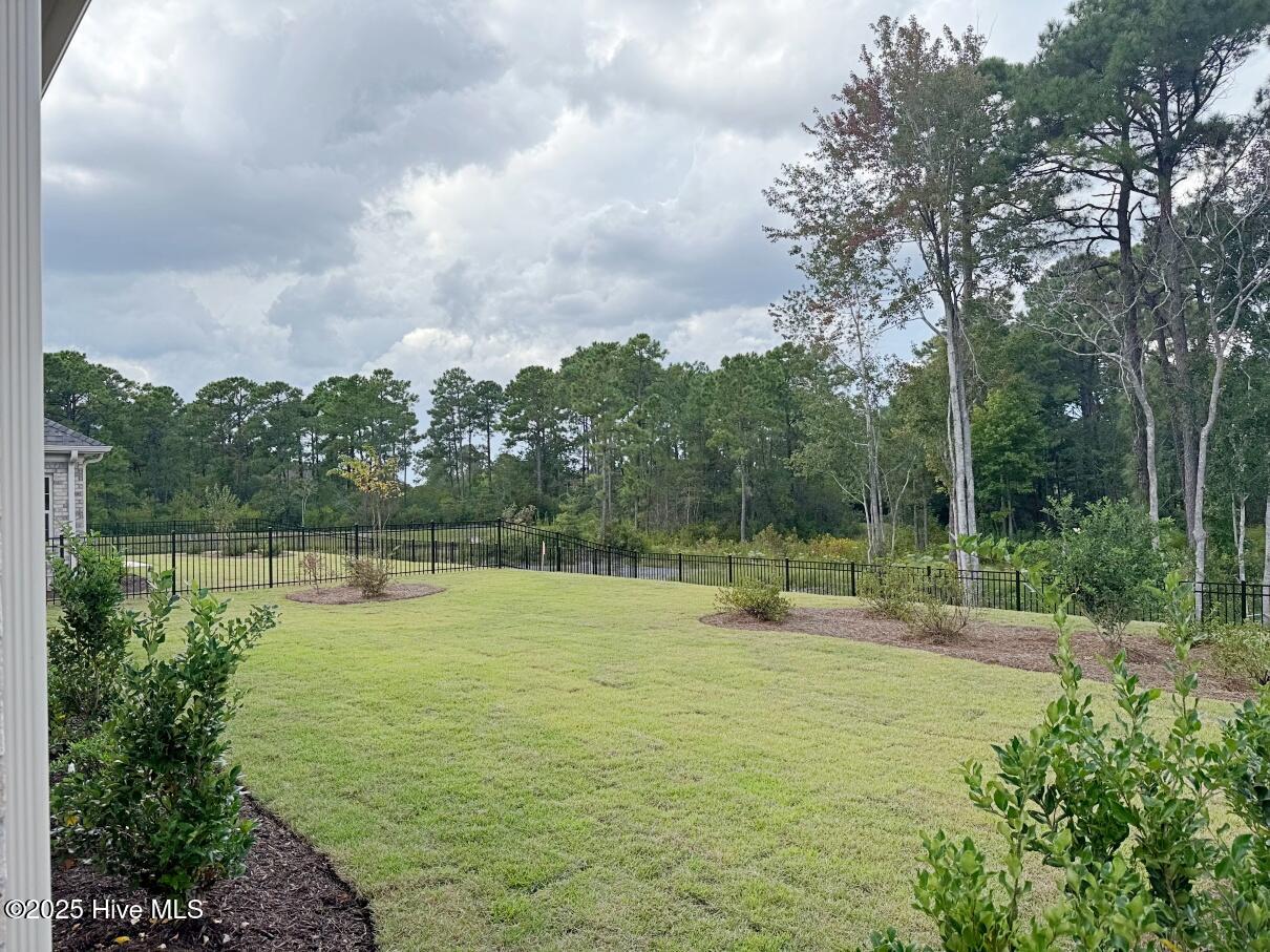 100513884 | Photo 49