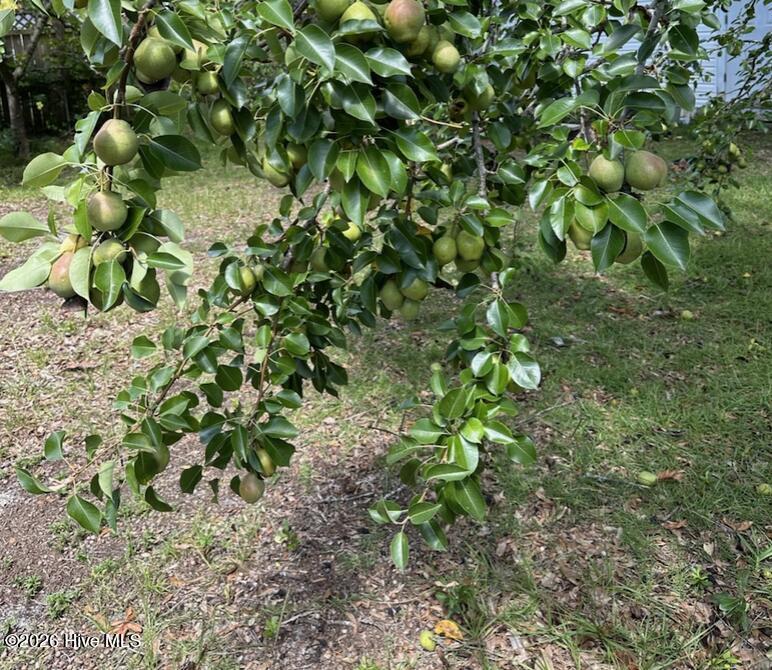 100554451 | Photo 19