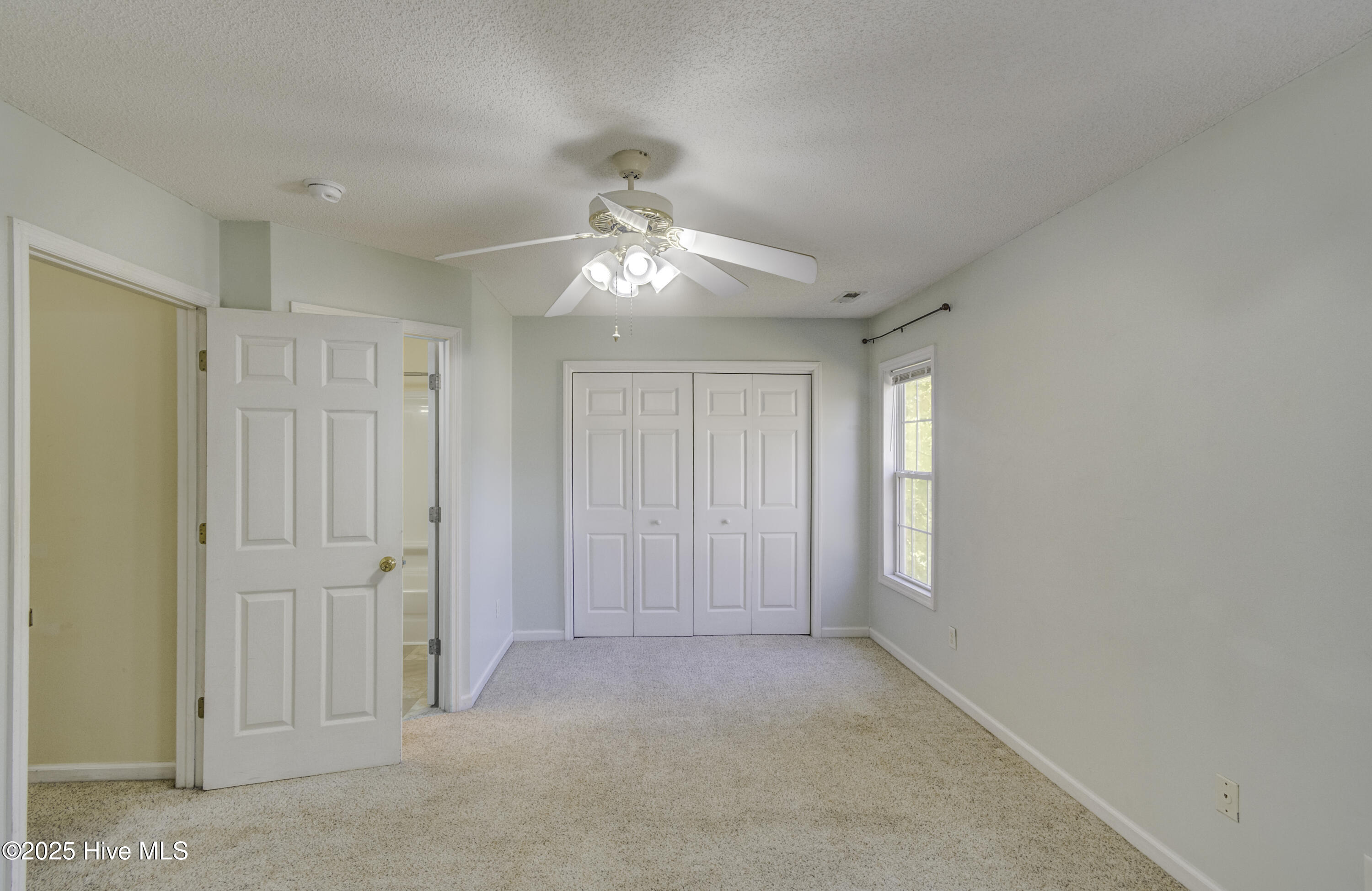 100536180 | Photo 20