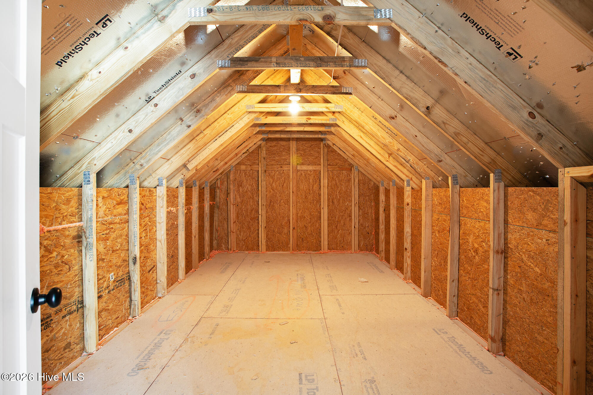 100564009 | Photo 40