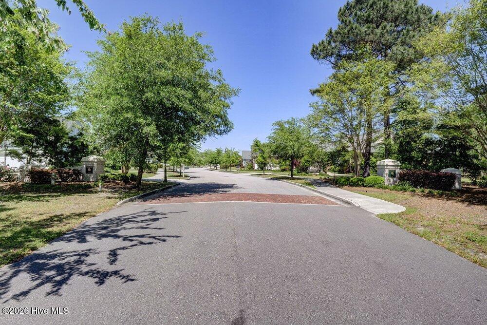 100550576 | Photo 65