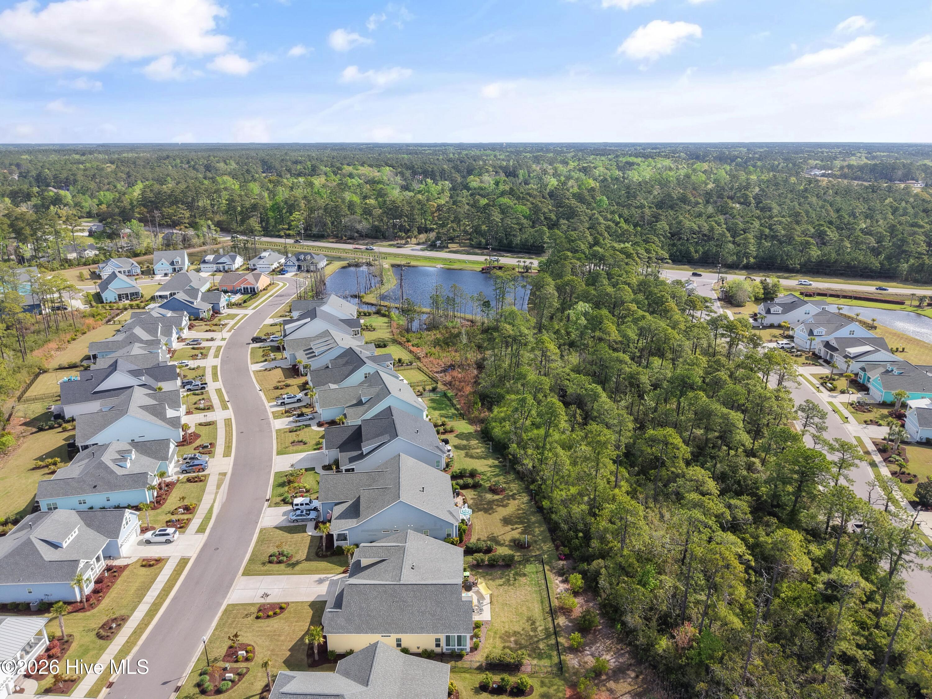 100566064 | Photo 60