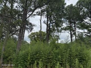 Exterior photo of 1298 3 Moores Chapel Road, Lillington, NC 27546. MLS: 100598632