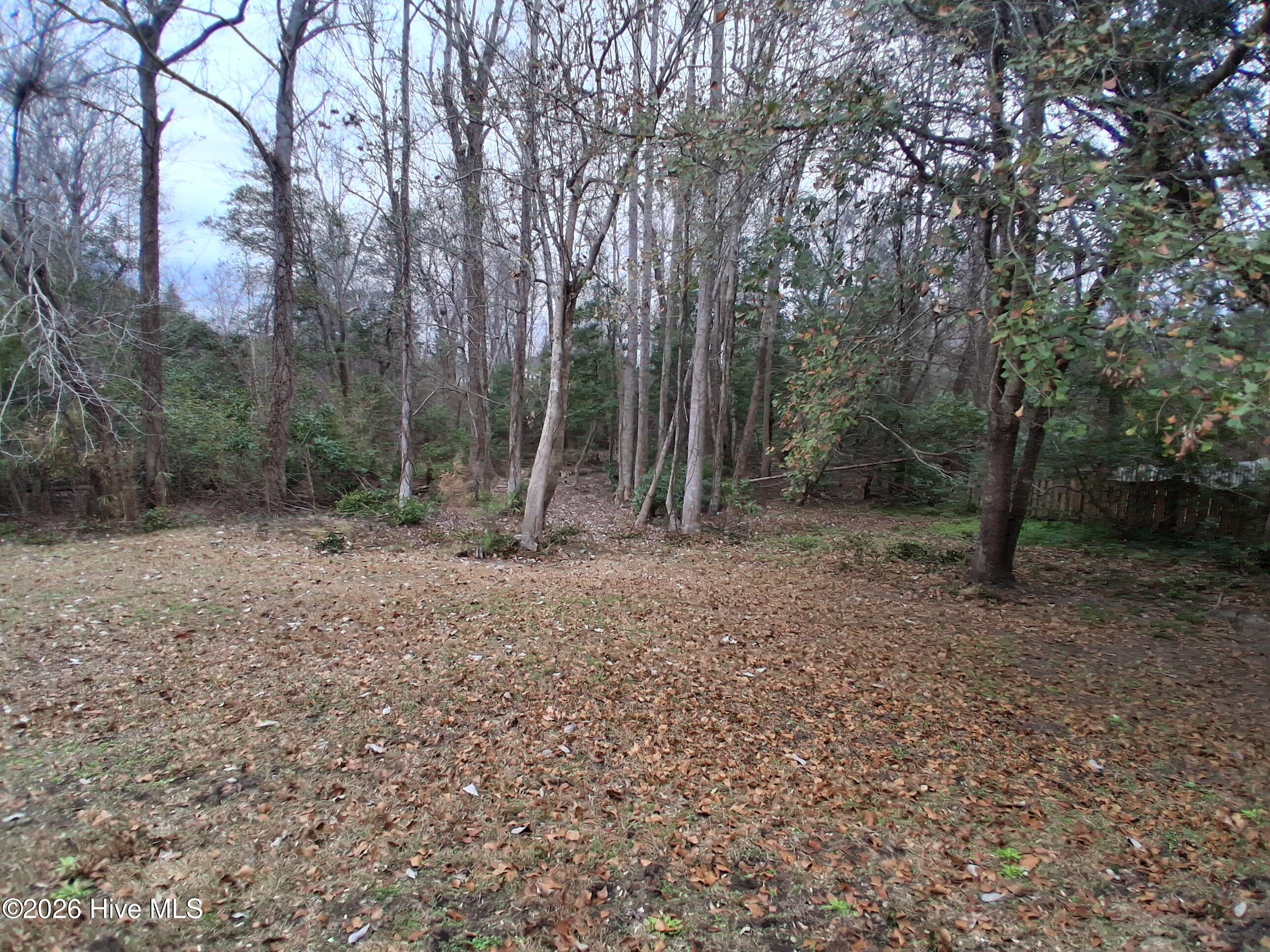 100504331 | Photo 50