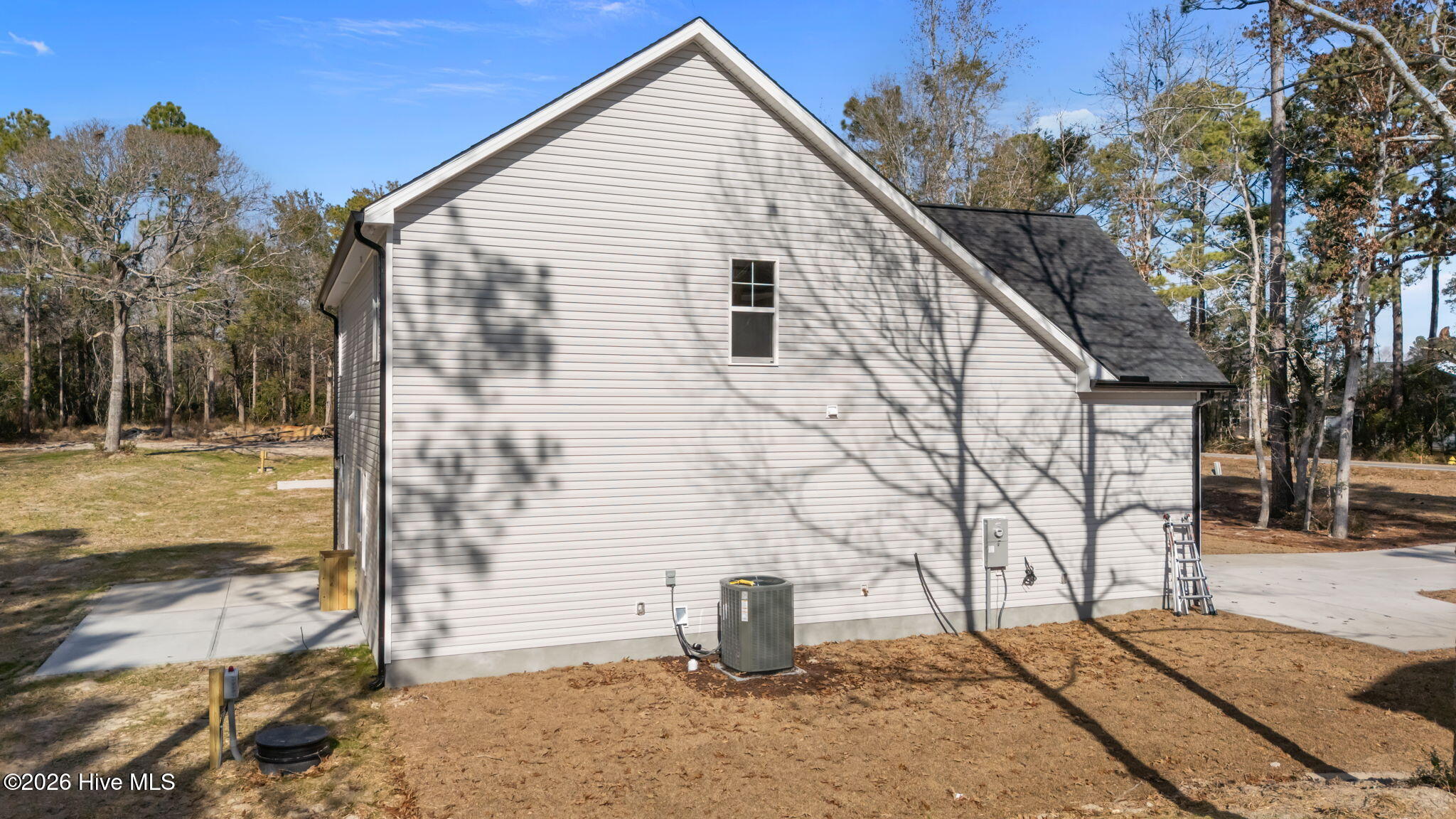 100528698 | Photo 37