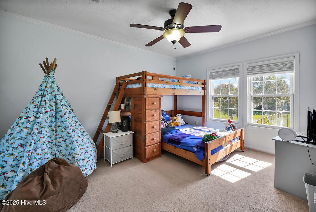 100537845 | Photo 44