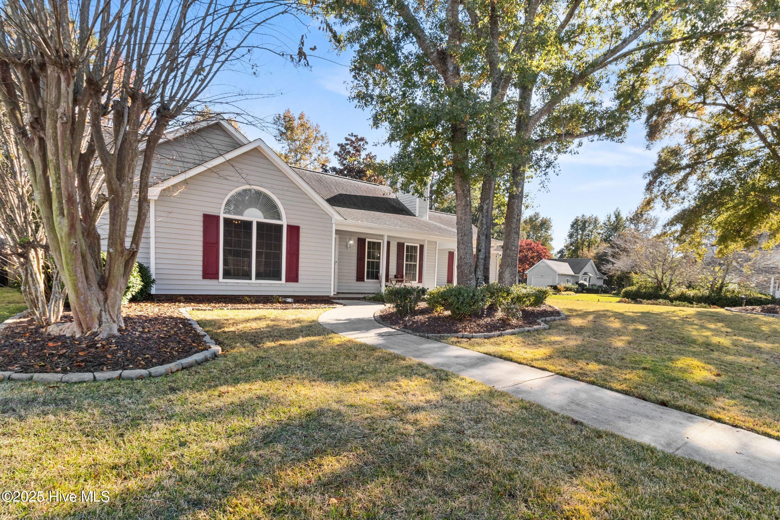 100541040 | Photo 40