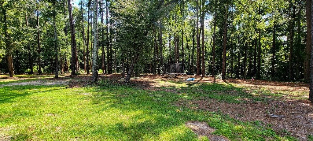1074 Bennock Mill Road, Augusta, GA 30906 Listing Photo  53