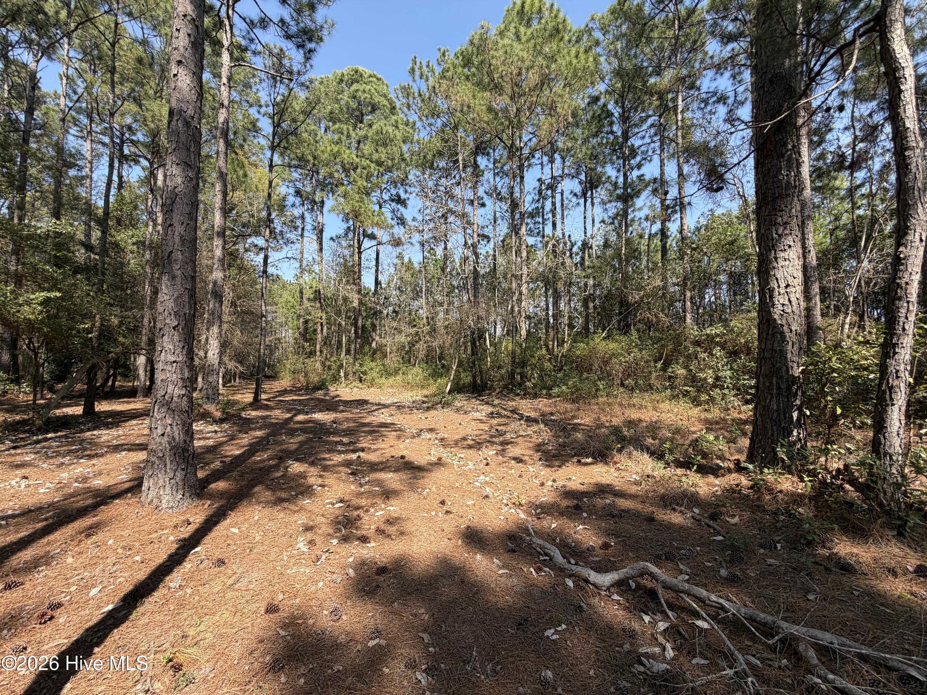 6786 Holton Place, Ocean Isle Beach, NC, 28469