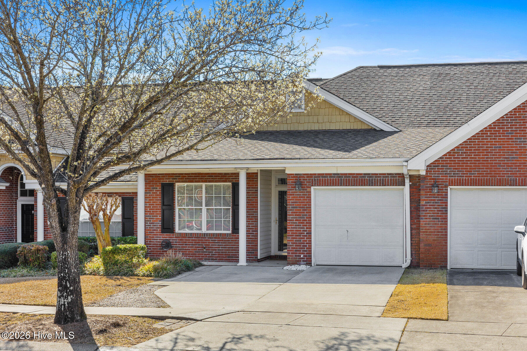 100557830 | Photo 32